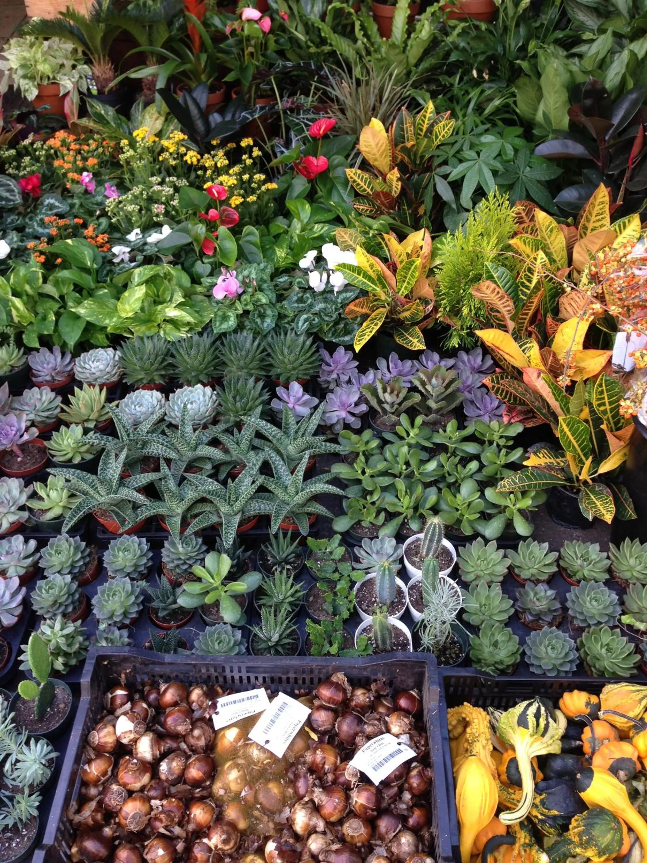 Spring in B&B Il Picchio