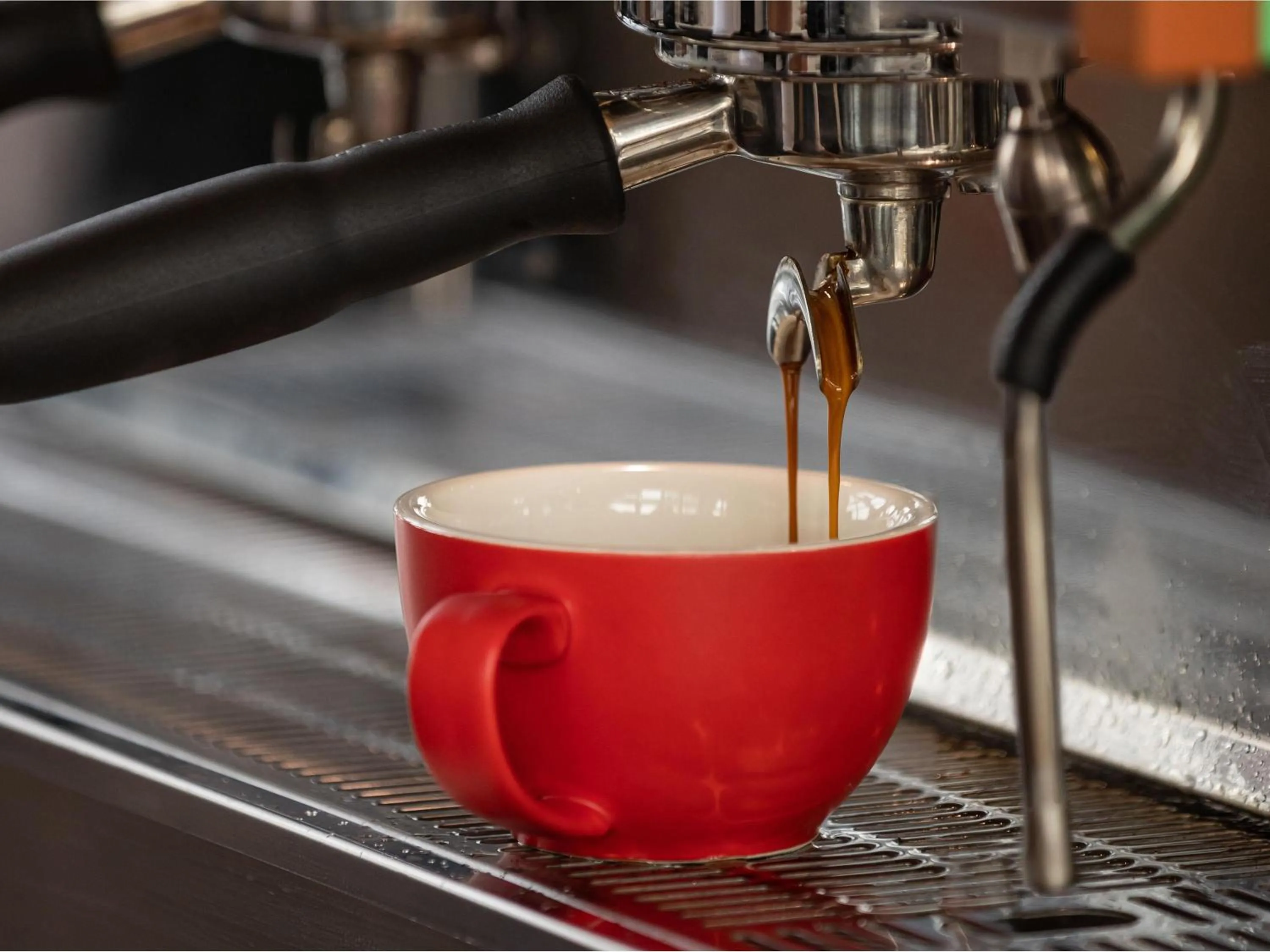 Restaurant/places to eat in Novotel Christchurch Airport