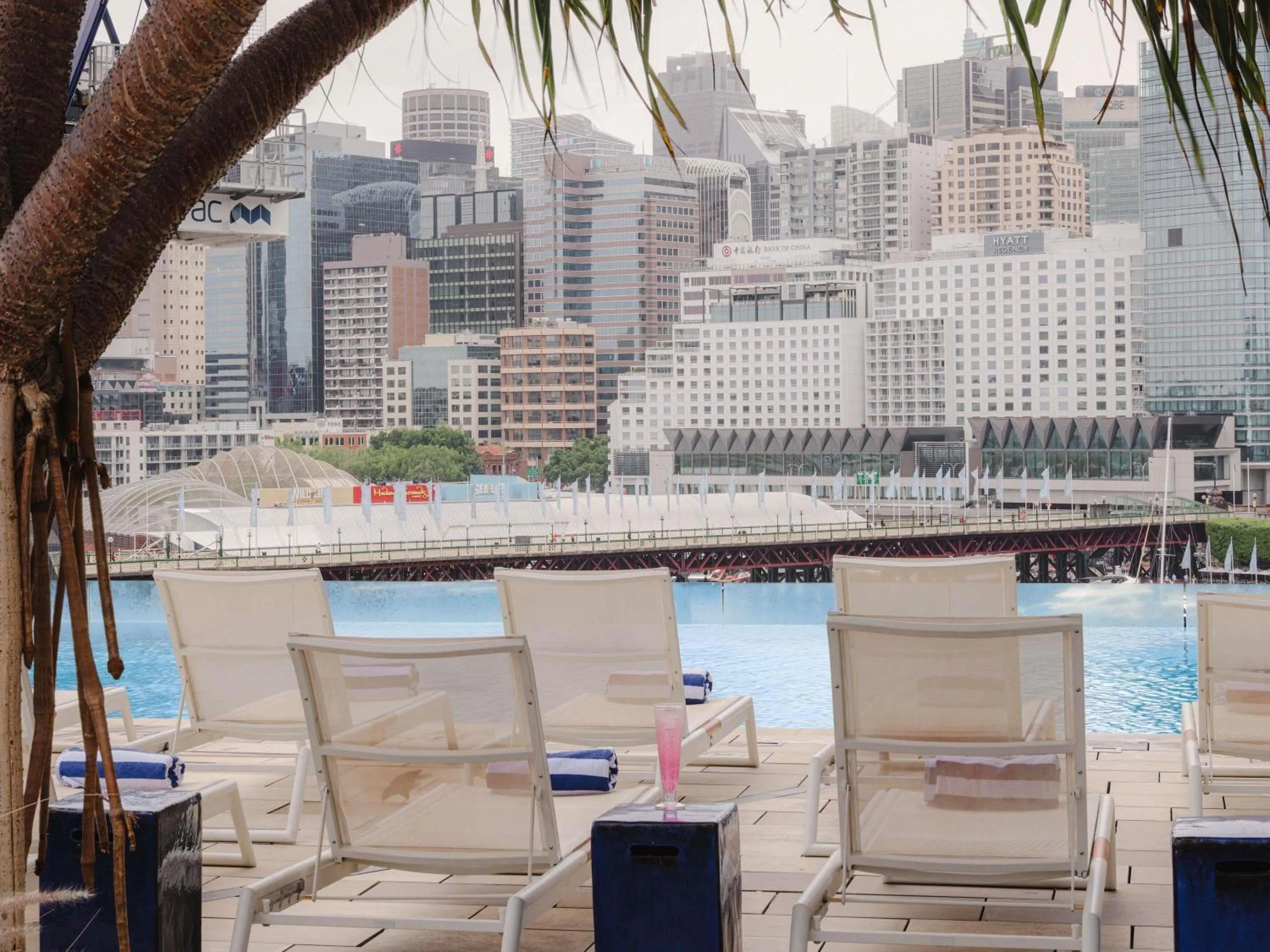 Pool view in Sofitel Sydney Darling Harbour