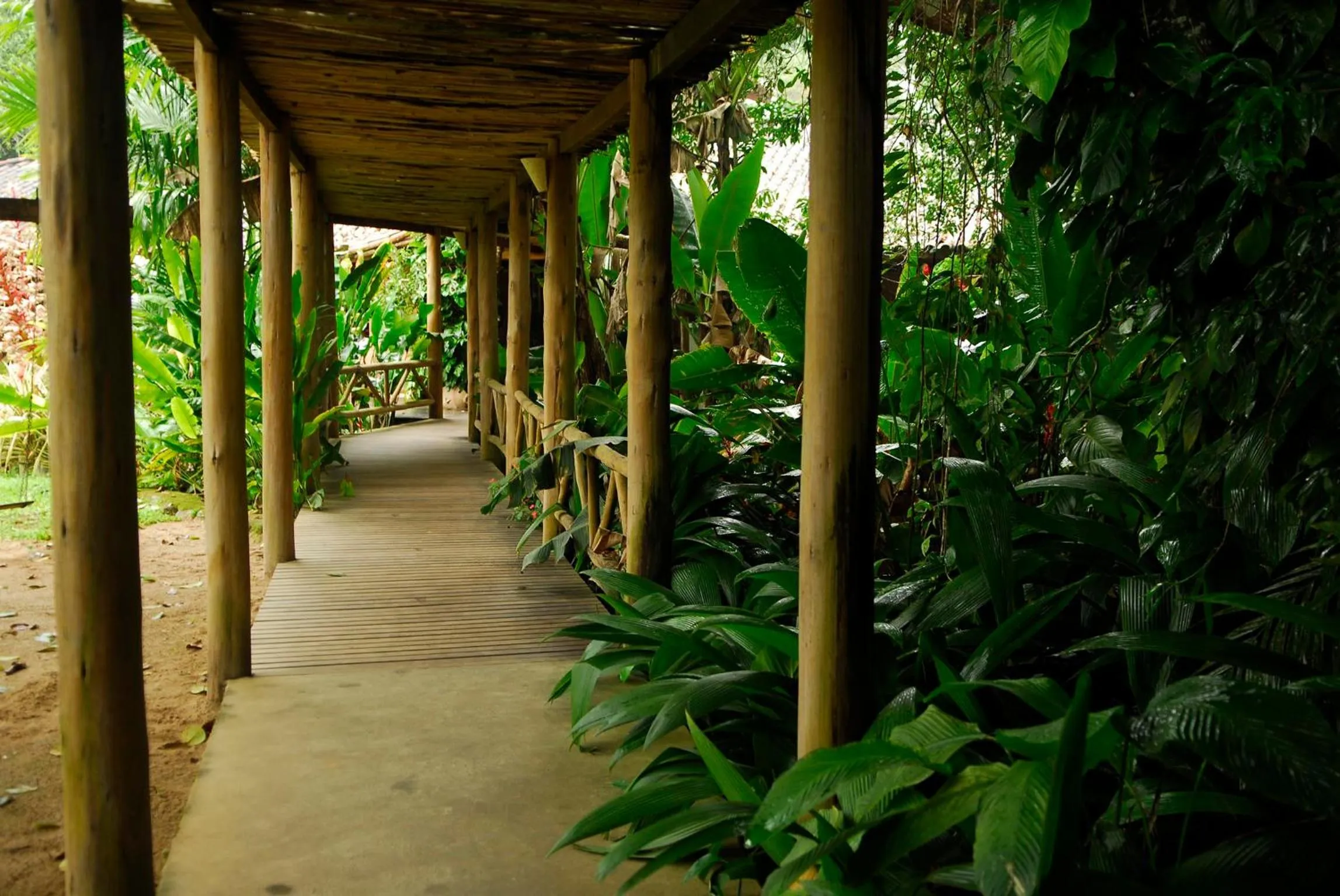 Garden in Itamambuca Eco Resort