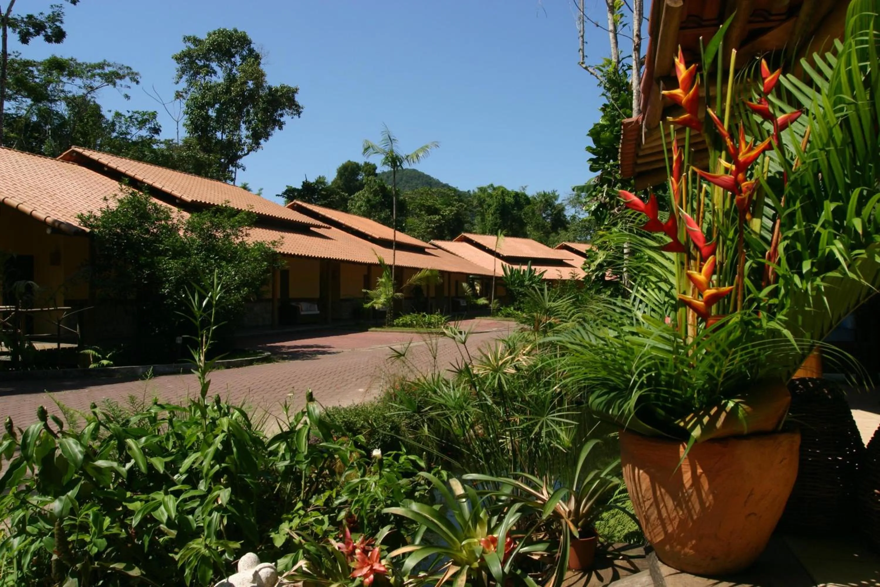 Facade/entrance in Itamambuca Eco Resort