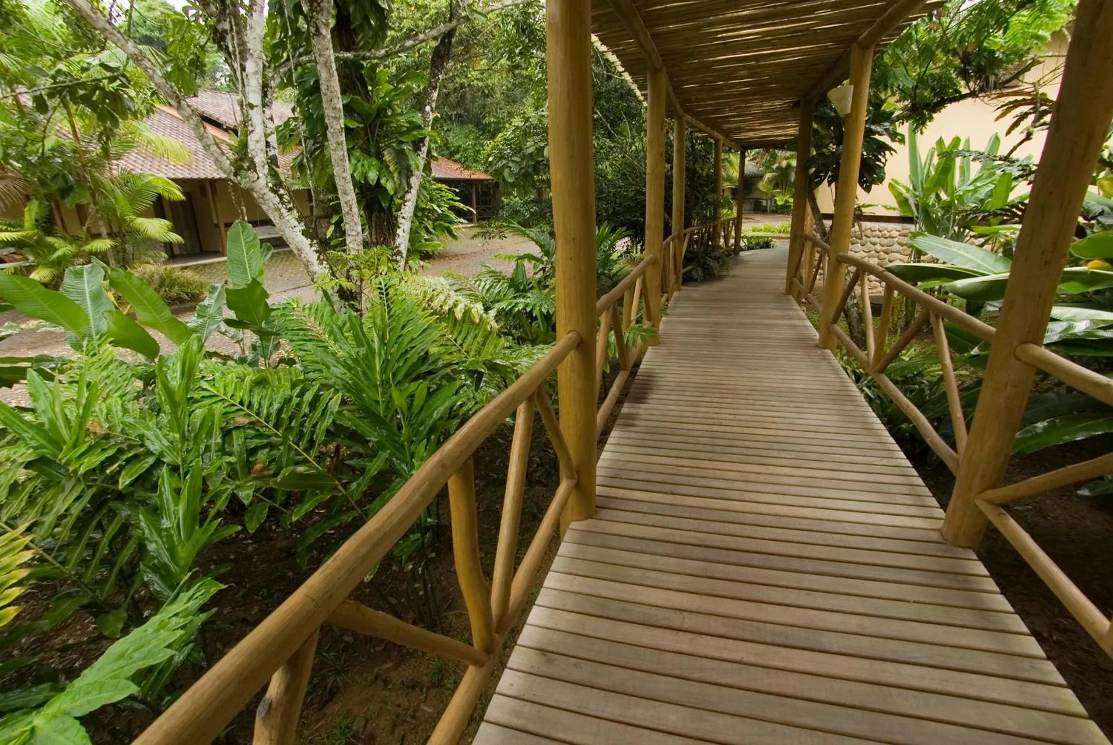 Garden in Itamambuca Eco Resort
