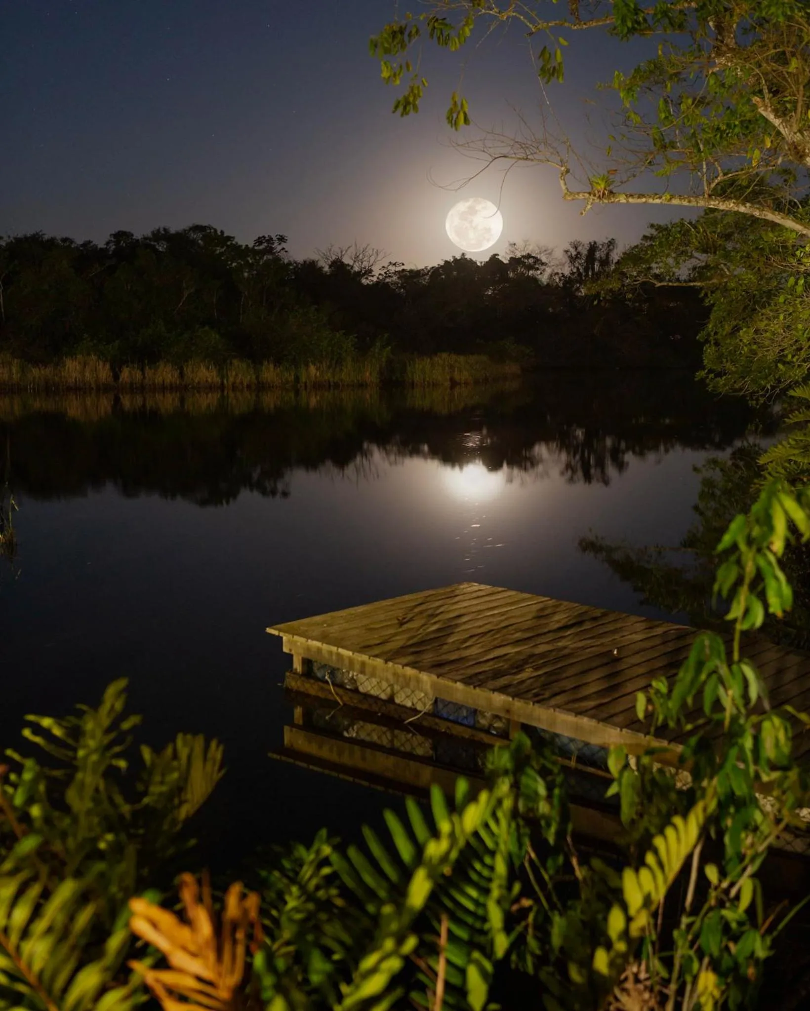 Night in Itamambuca Eco Resort