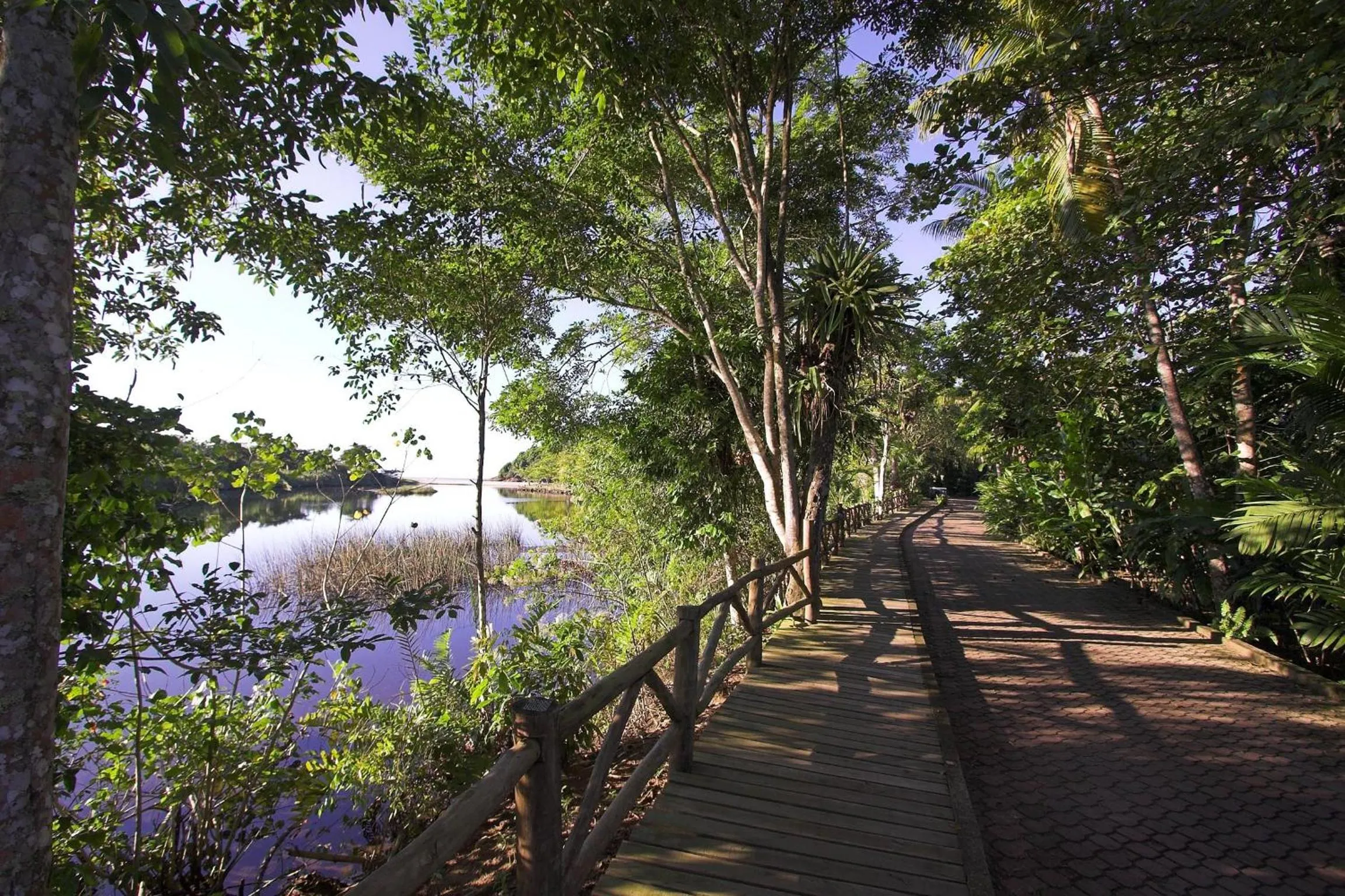 Garden in Itamambuca Eco Resort
