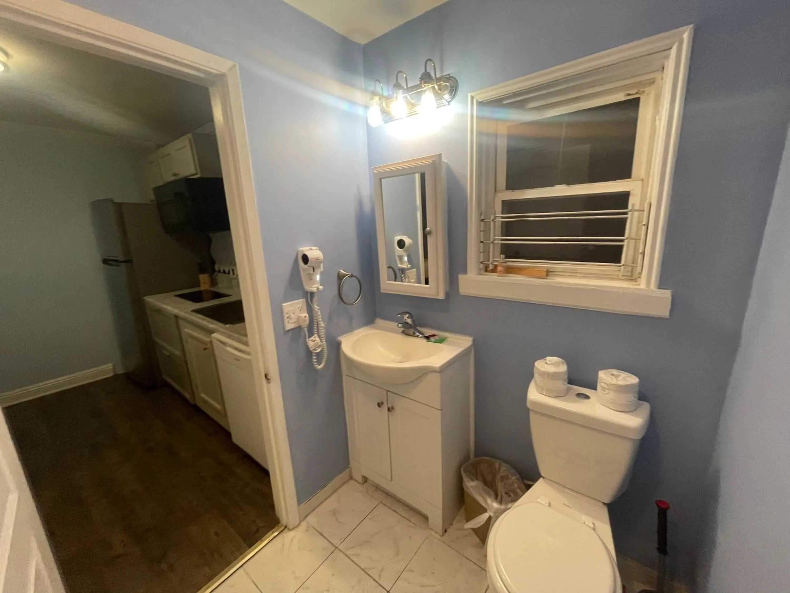 Toilet in Americas Best Value Inn Royal Carriage