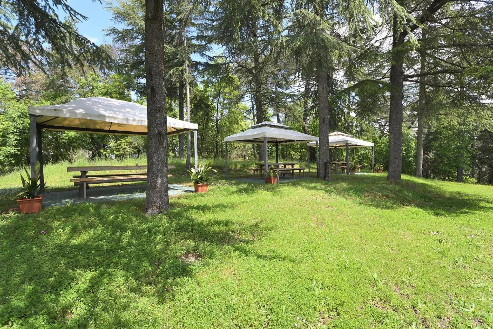 Activities in Castellare in Chianti