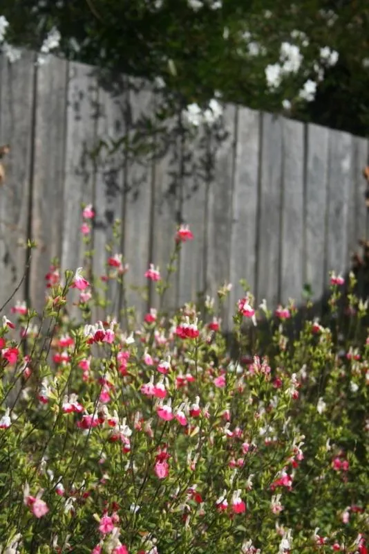 Other in Millthorpe Motel