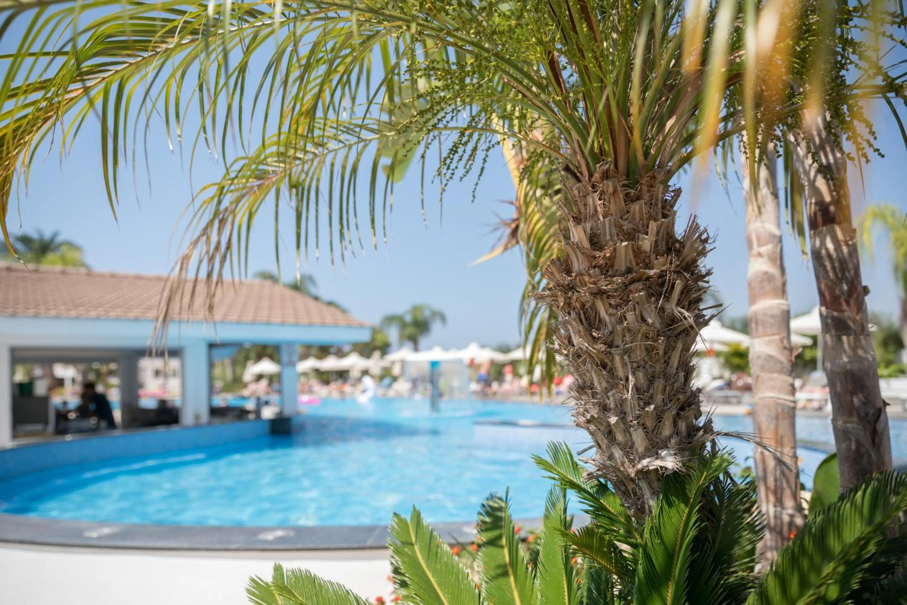 Swimming pool in Christofinia Hotel