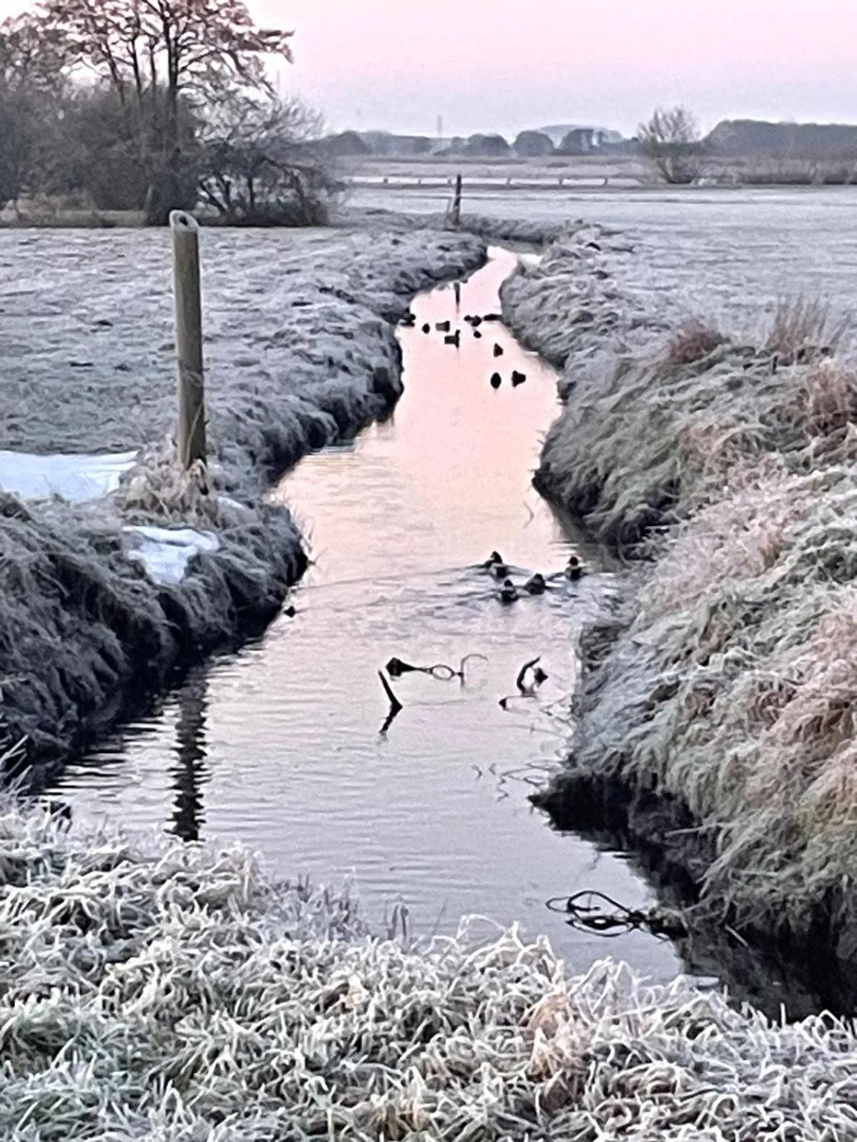 Natural landscape in Gretes Hof
