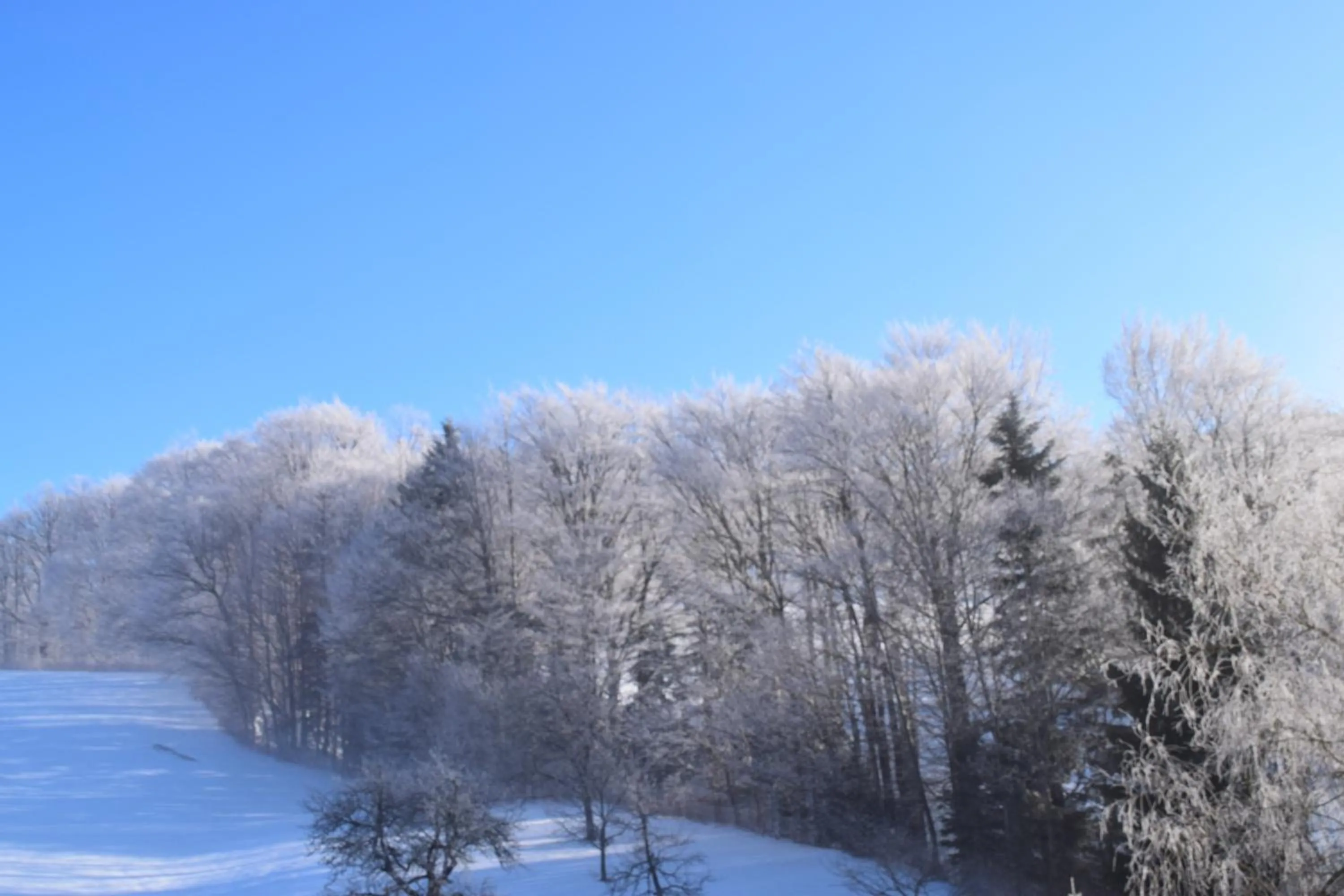 Winter in Pension Irlingerhof