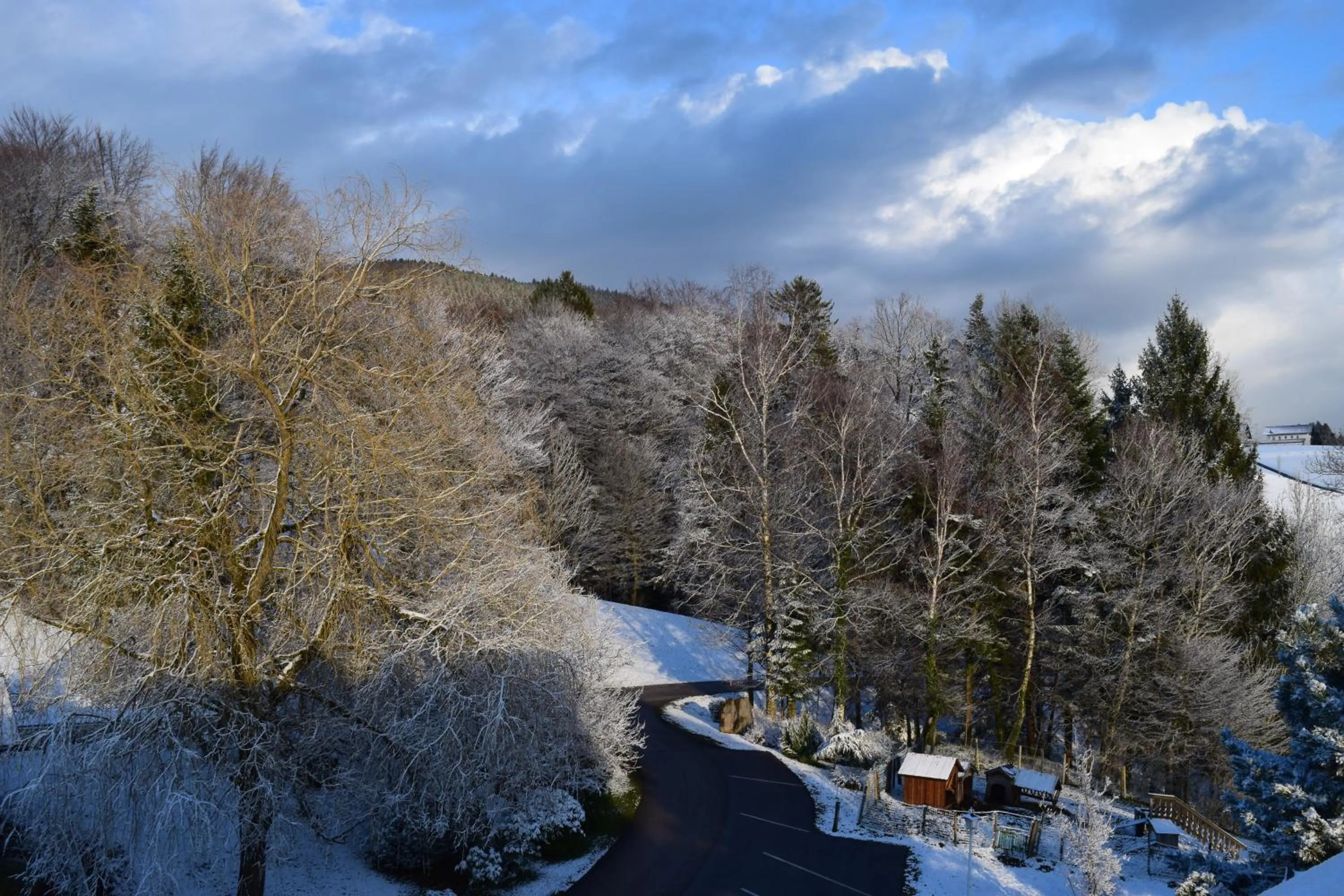 Winter in Pension Irlingerhof
