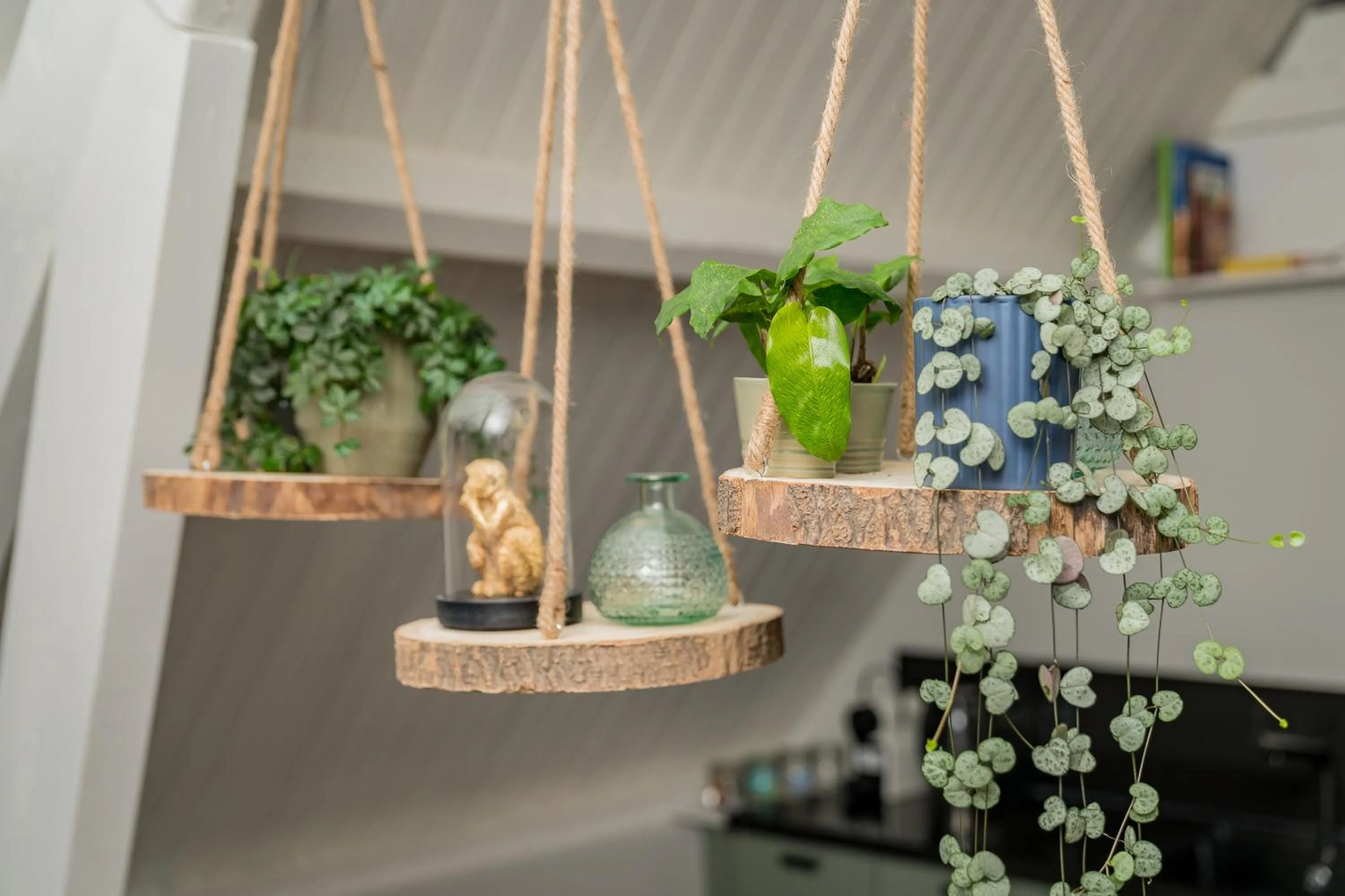 Decorative detail in De Verwennerie