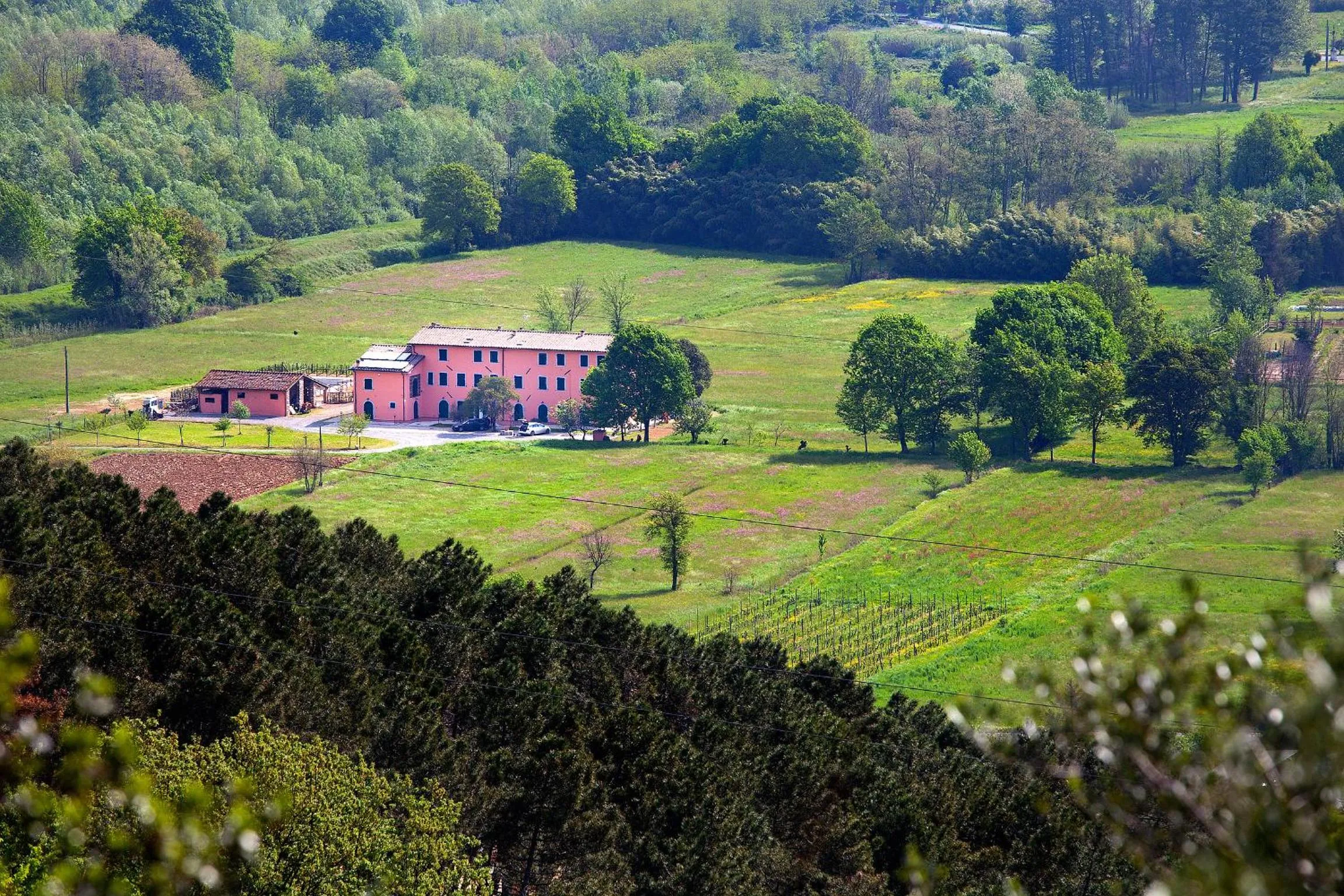 Bird's eye view in Tenuta San Giovanni Lucca
