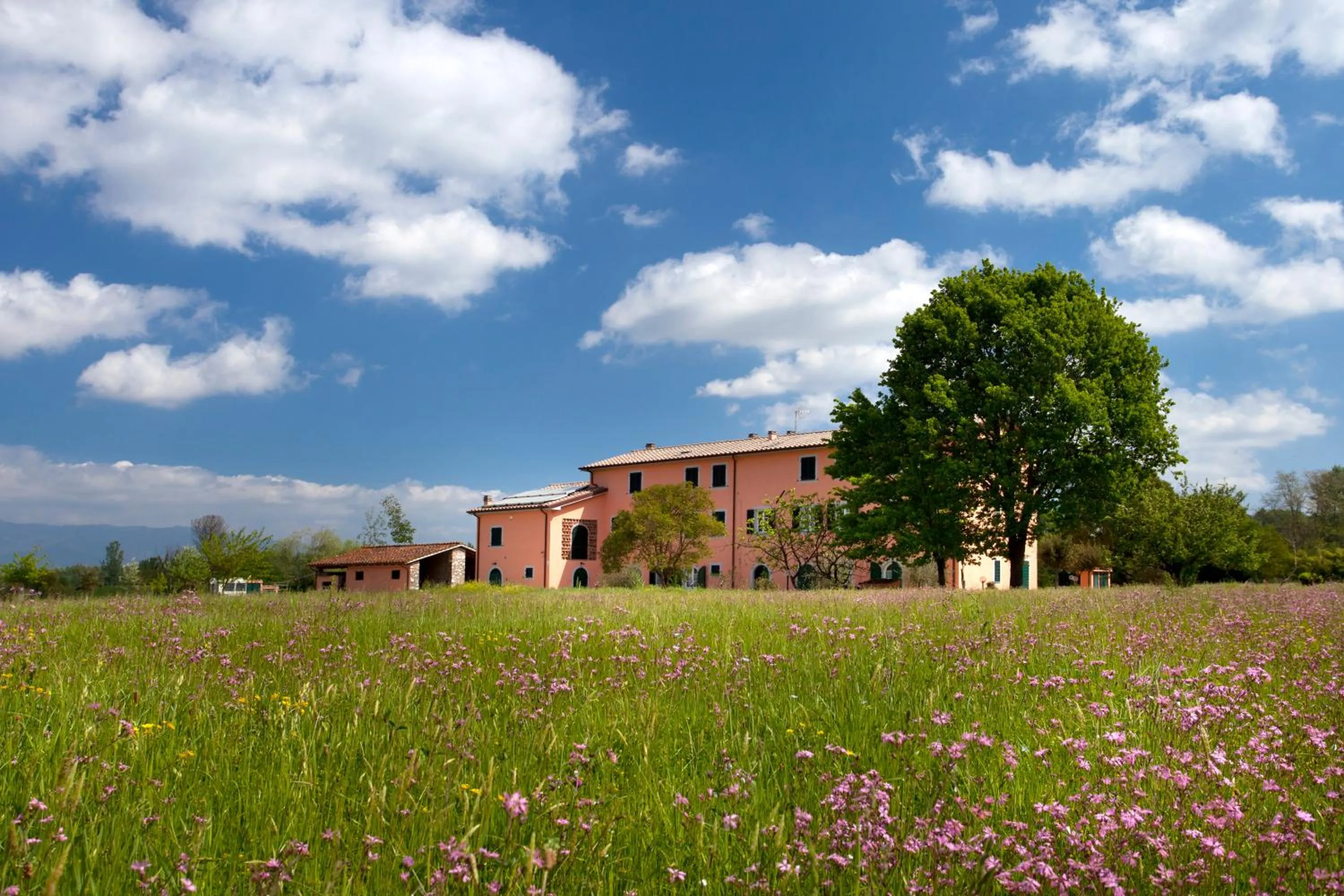 Garden in Tenuta San Giovanni Lucca