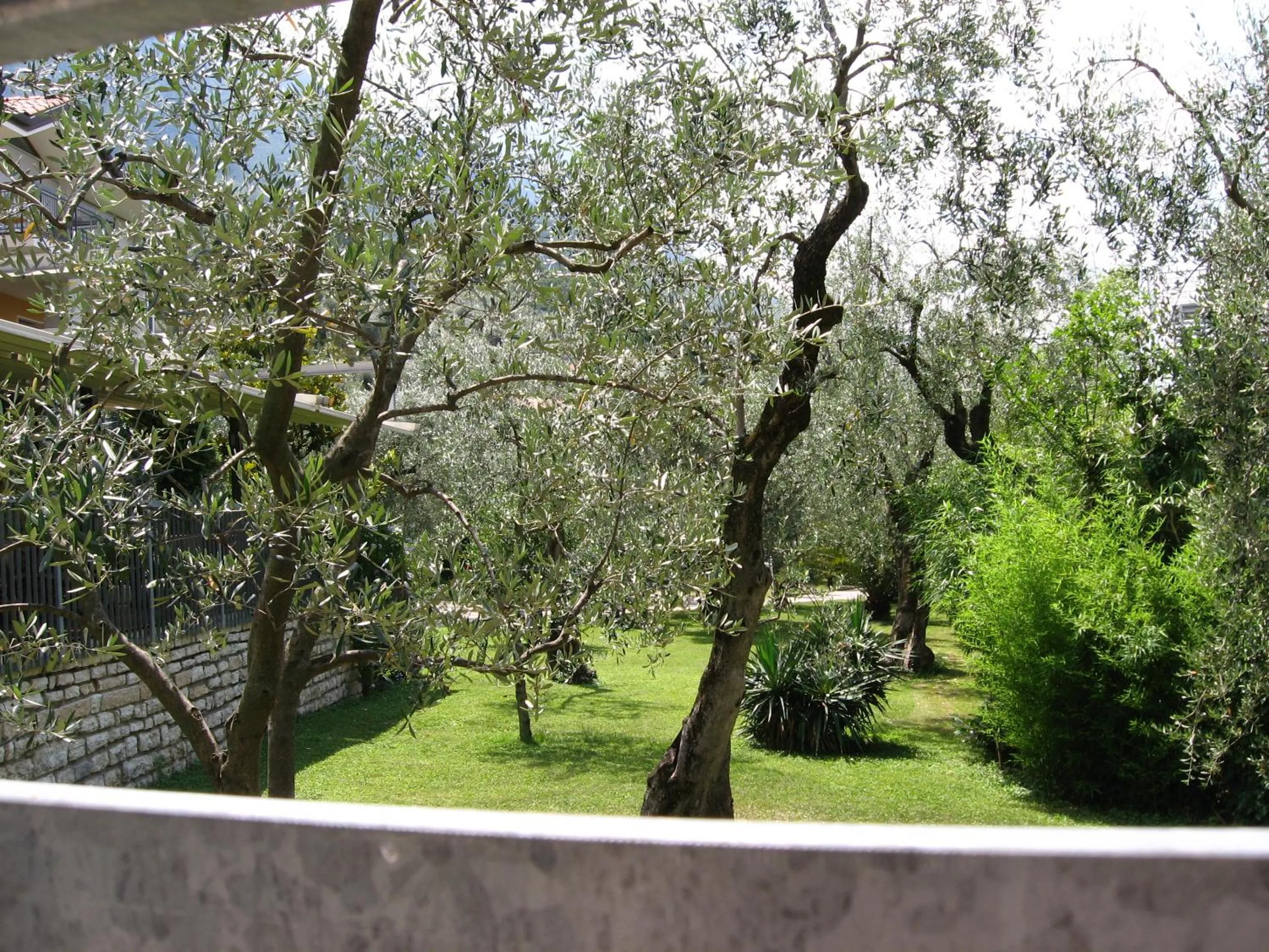 Garden in Hotel Catullo