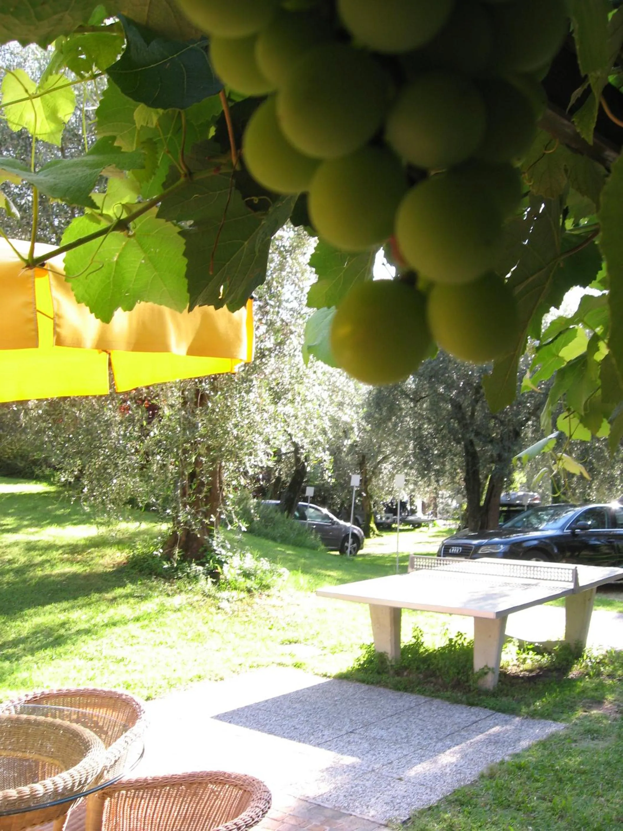 Day in Hotel Catullo