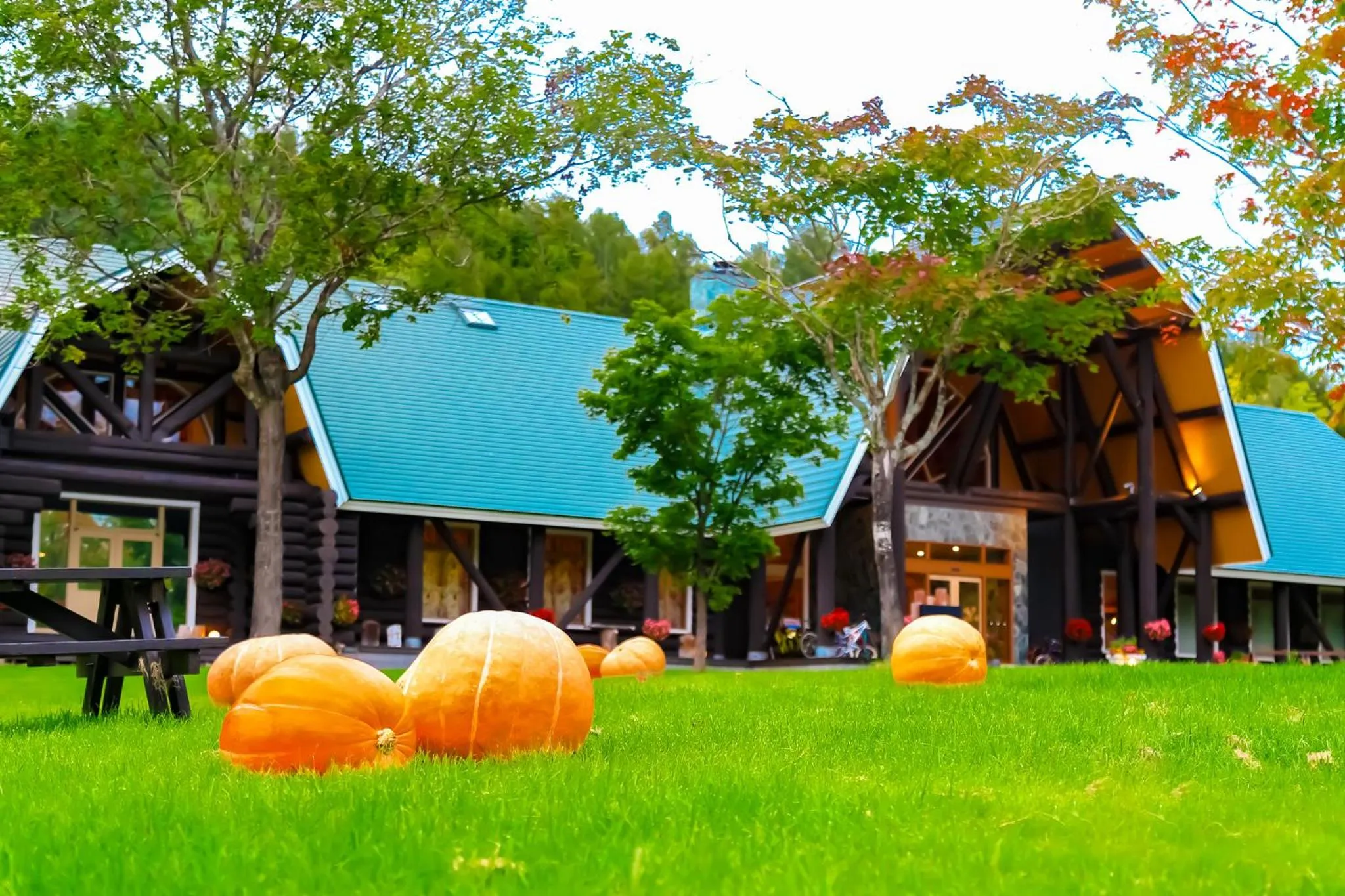 Log Hotel The Maple Lodge