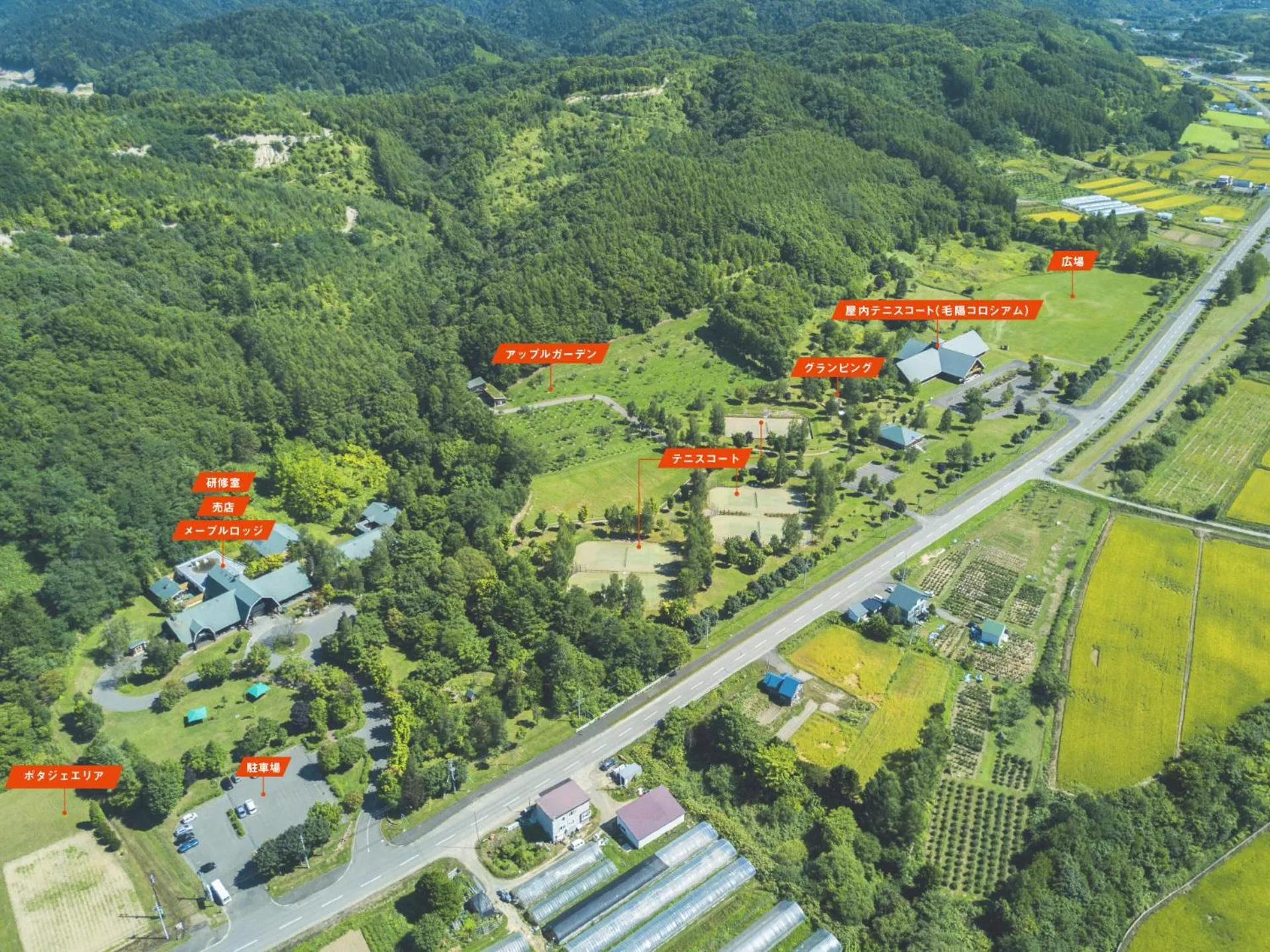 Log Hotel The Maple Lodge