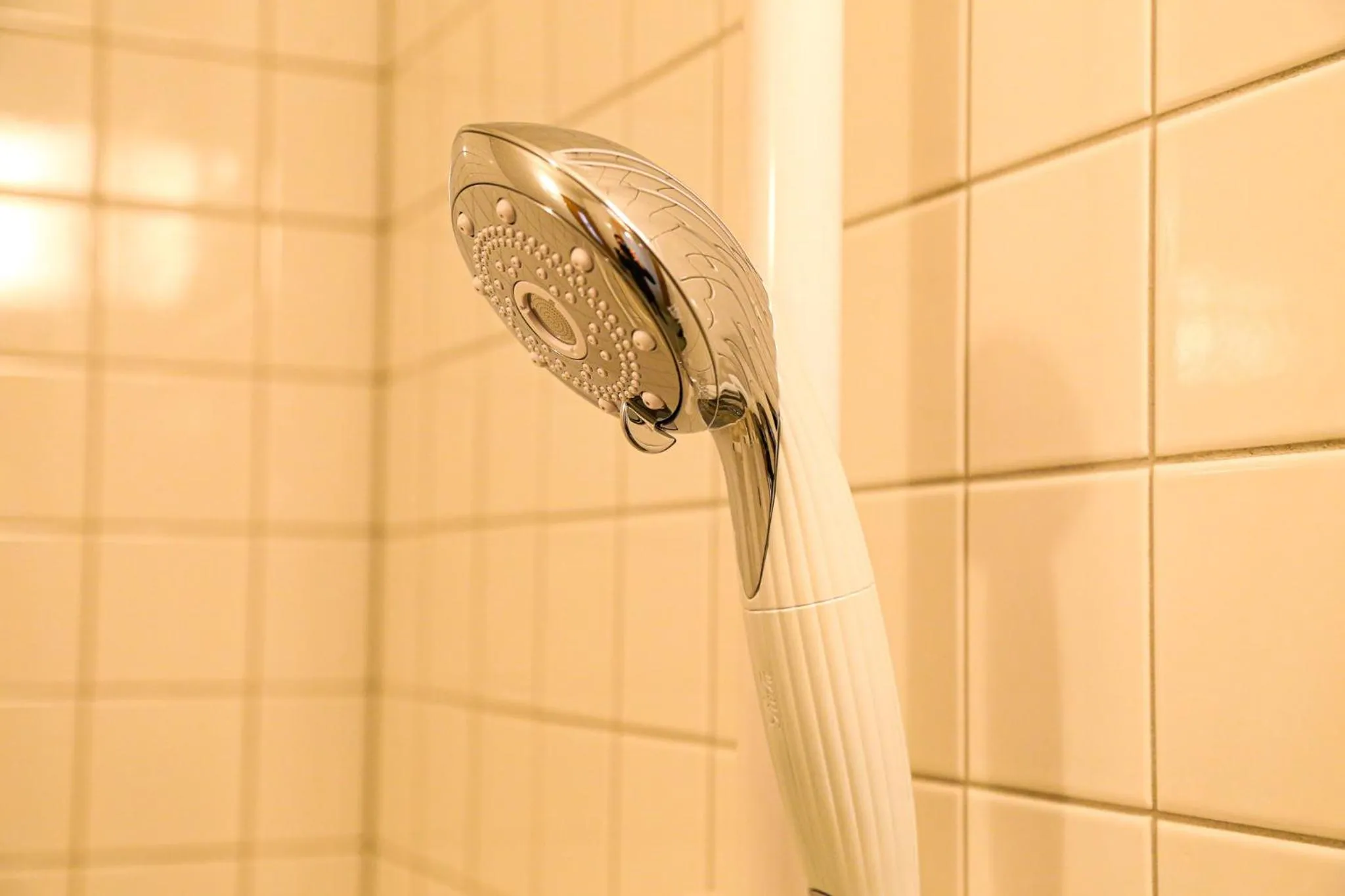 Log Hotel The Maple Lodge