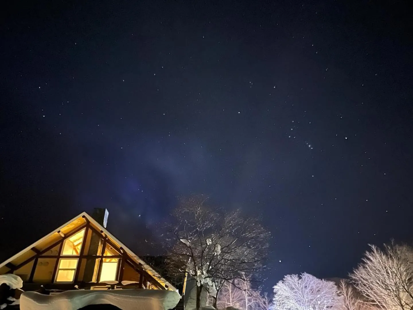 Log Hotel The Maple Lodge