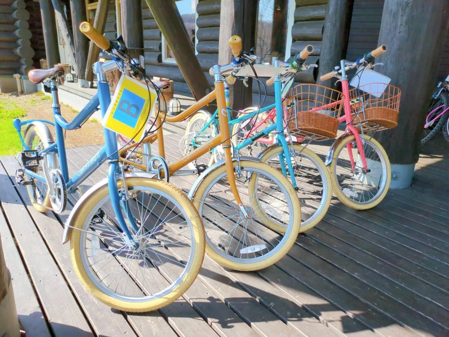 Log Hotel The Maple Lodge