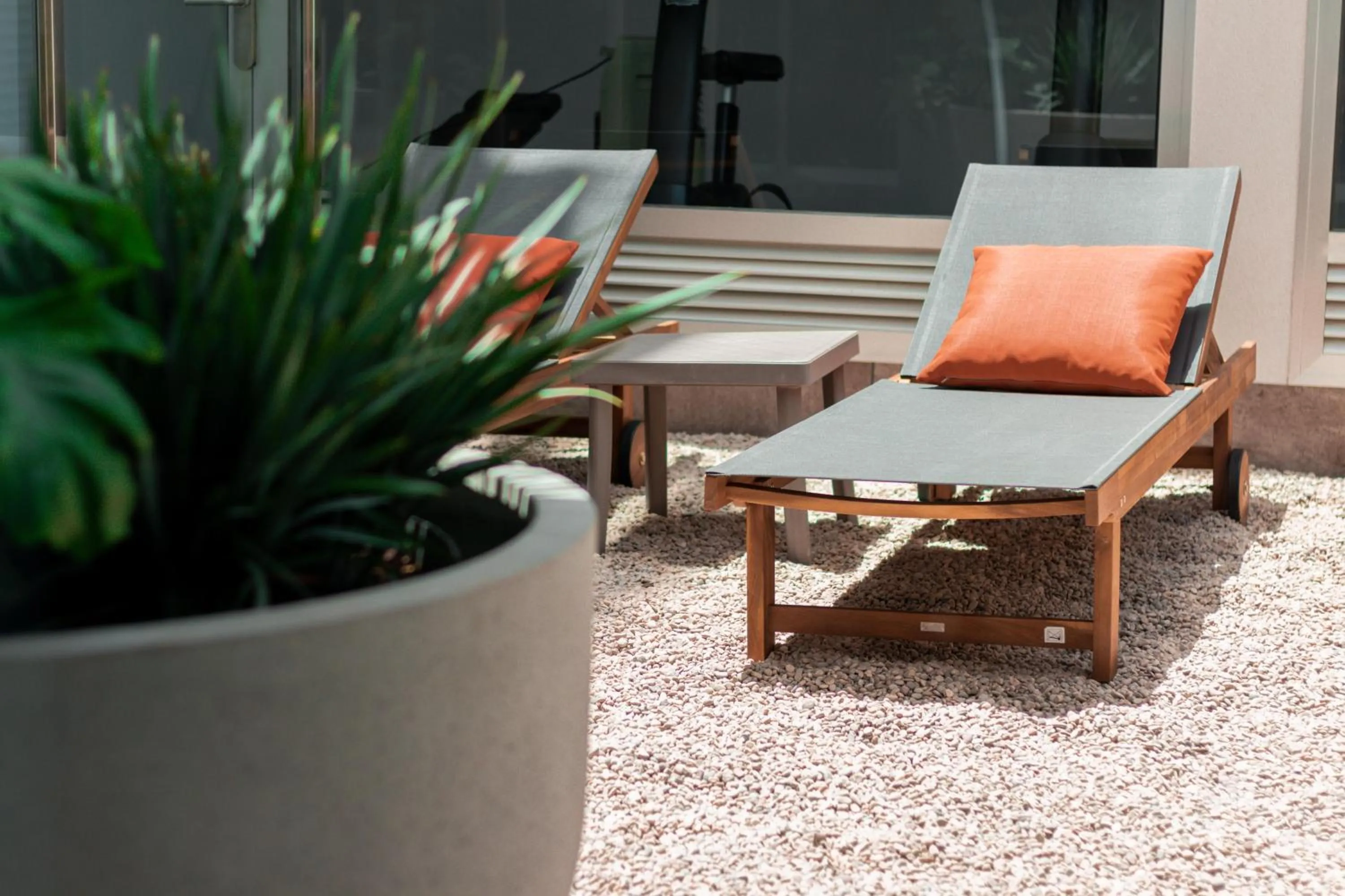 sunbed in Apartamentos El Palmar