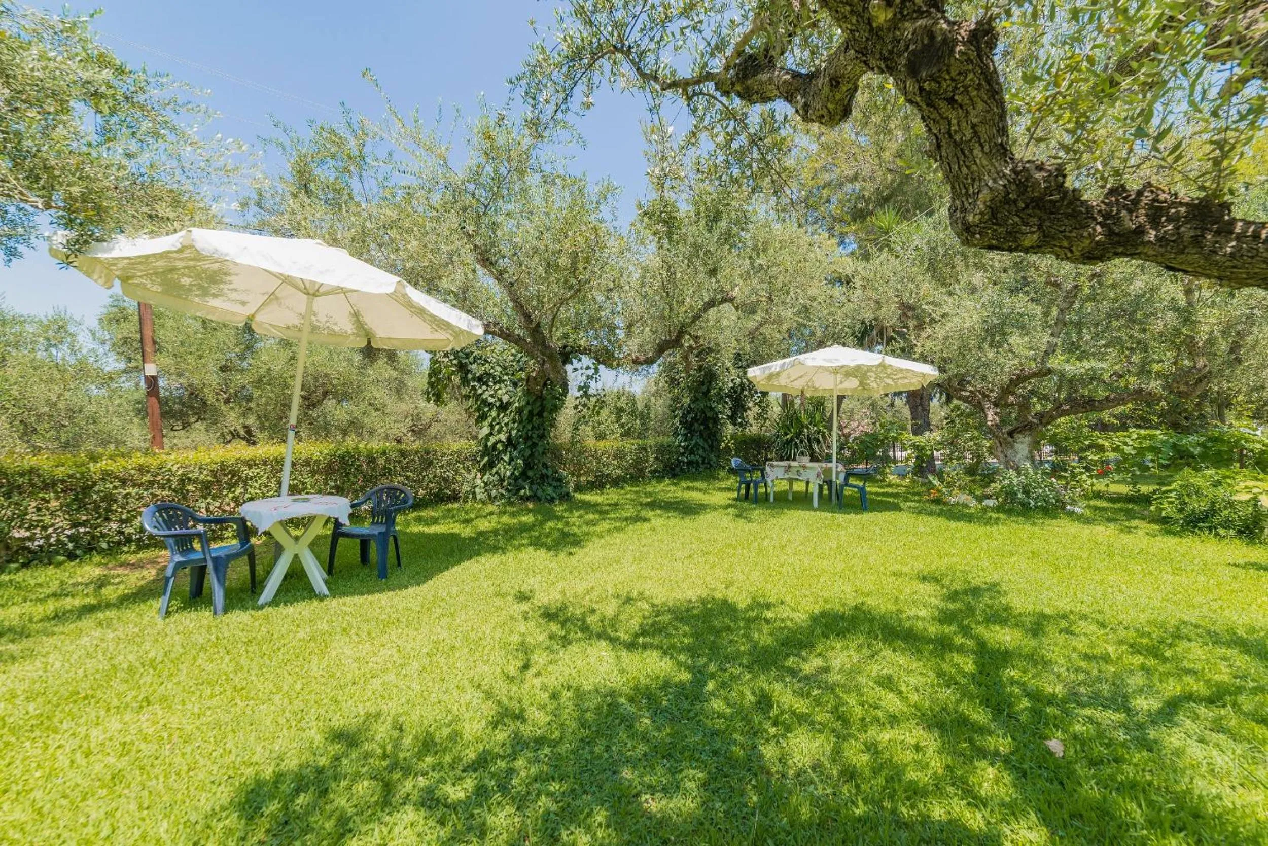 Garden in Ruassi Studios