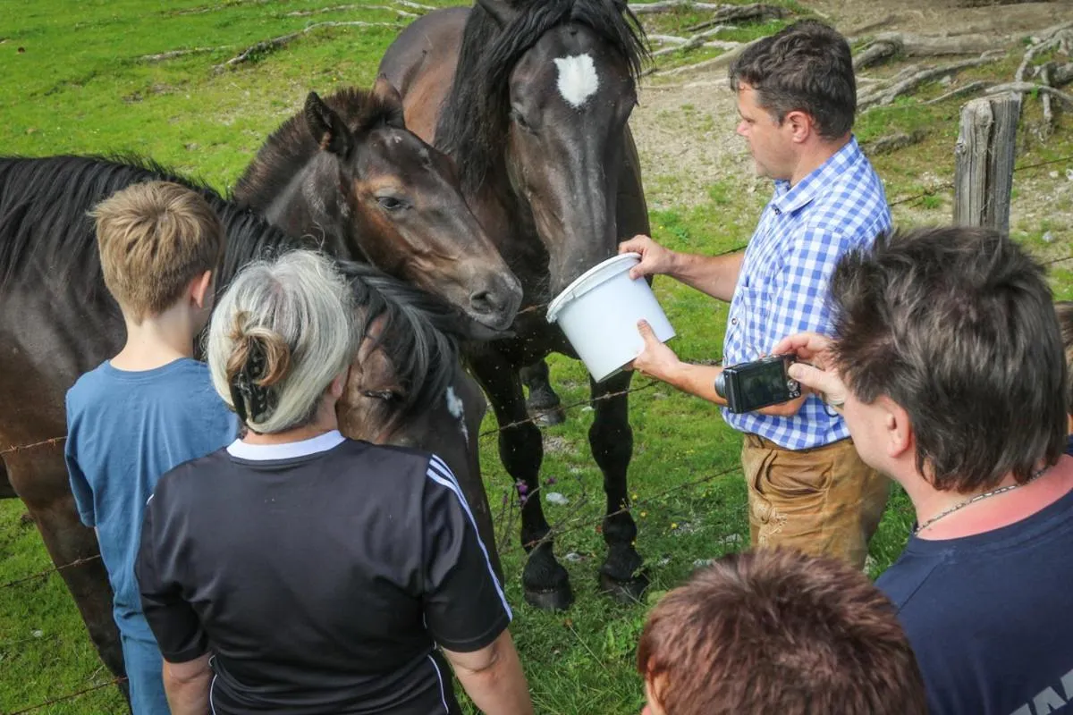 Day in Berghotel Lämmerhof