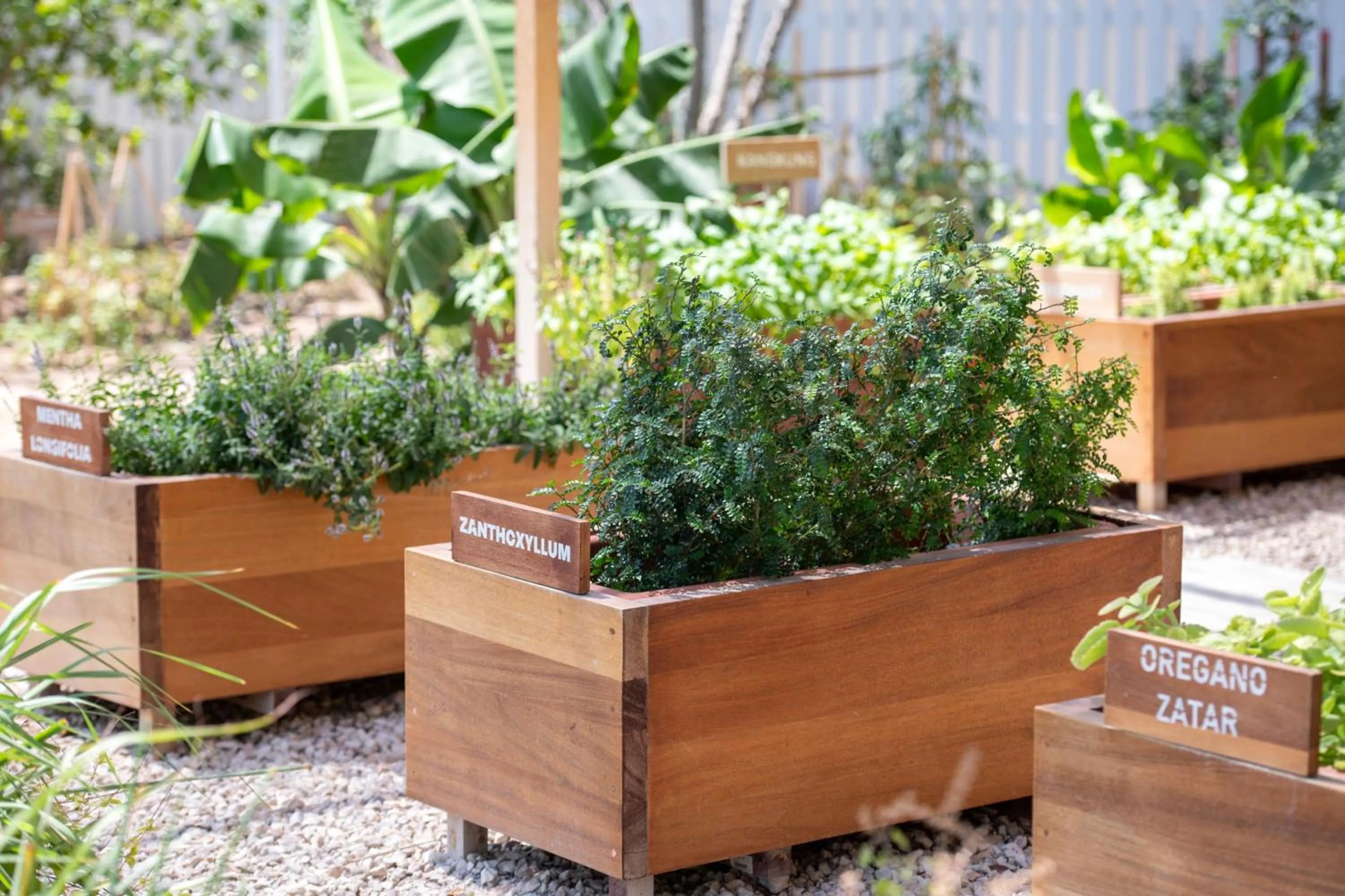 Other in The Ritz-Carlton, Doha