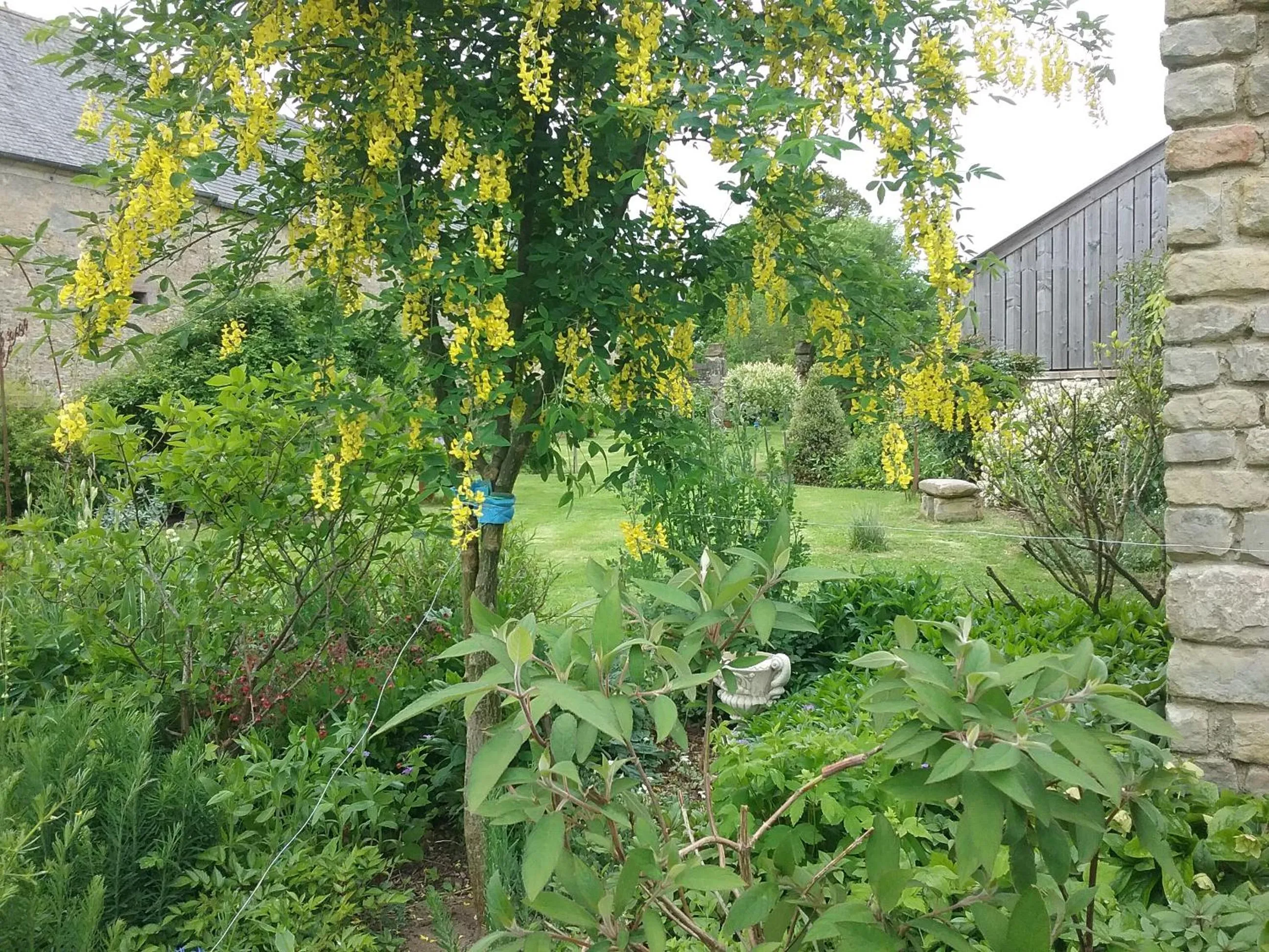 Garden in Chambre d'hôte le 18-20