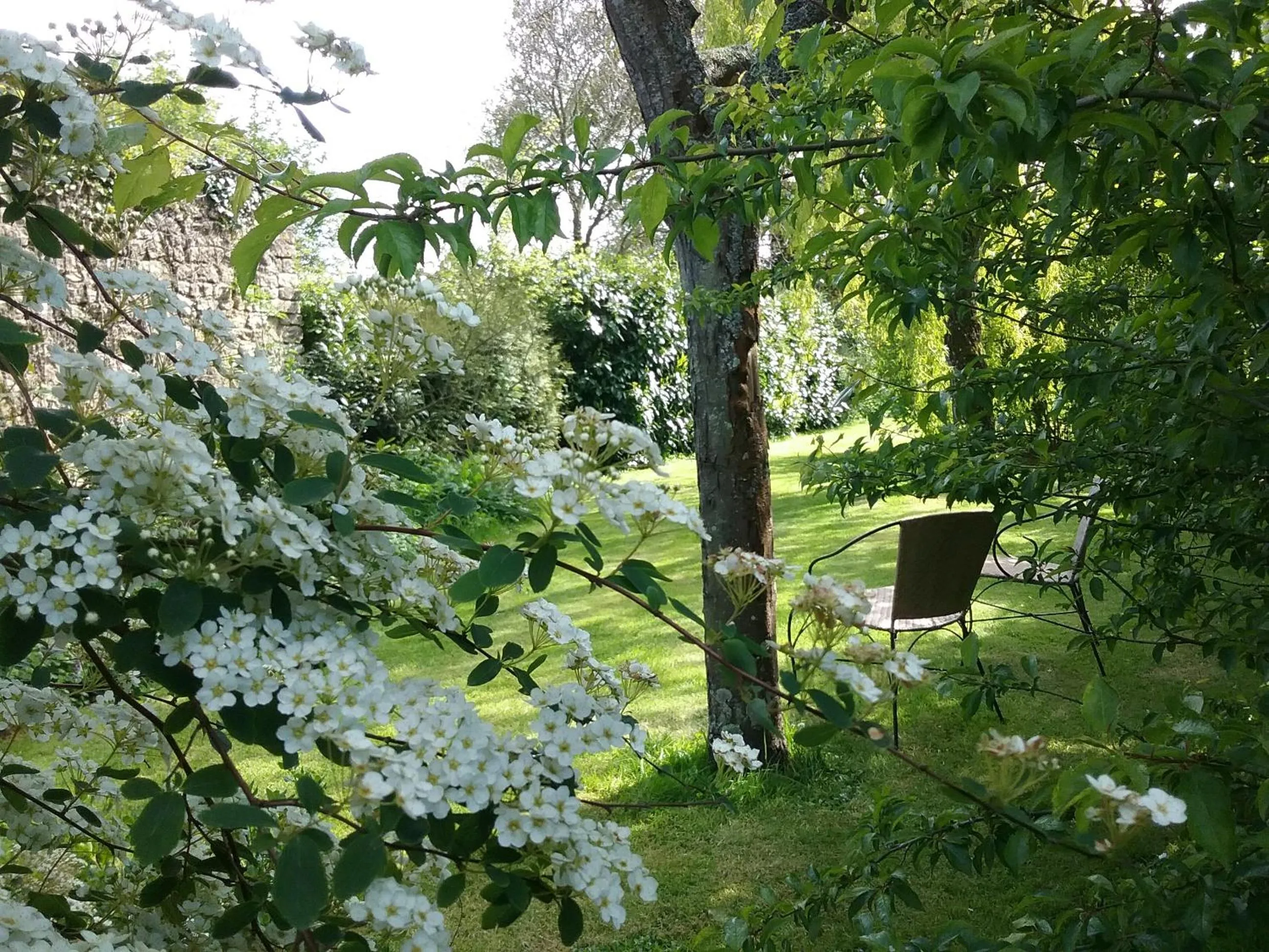 Garden in Chambre d'hôte le 18-20