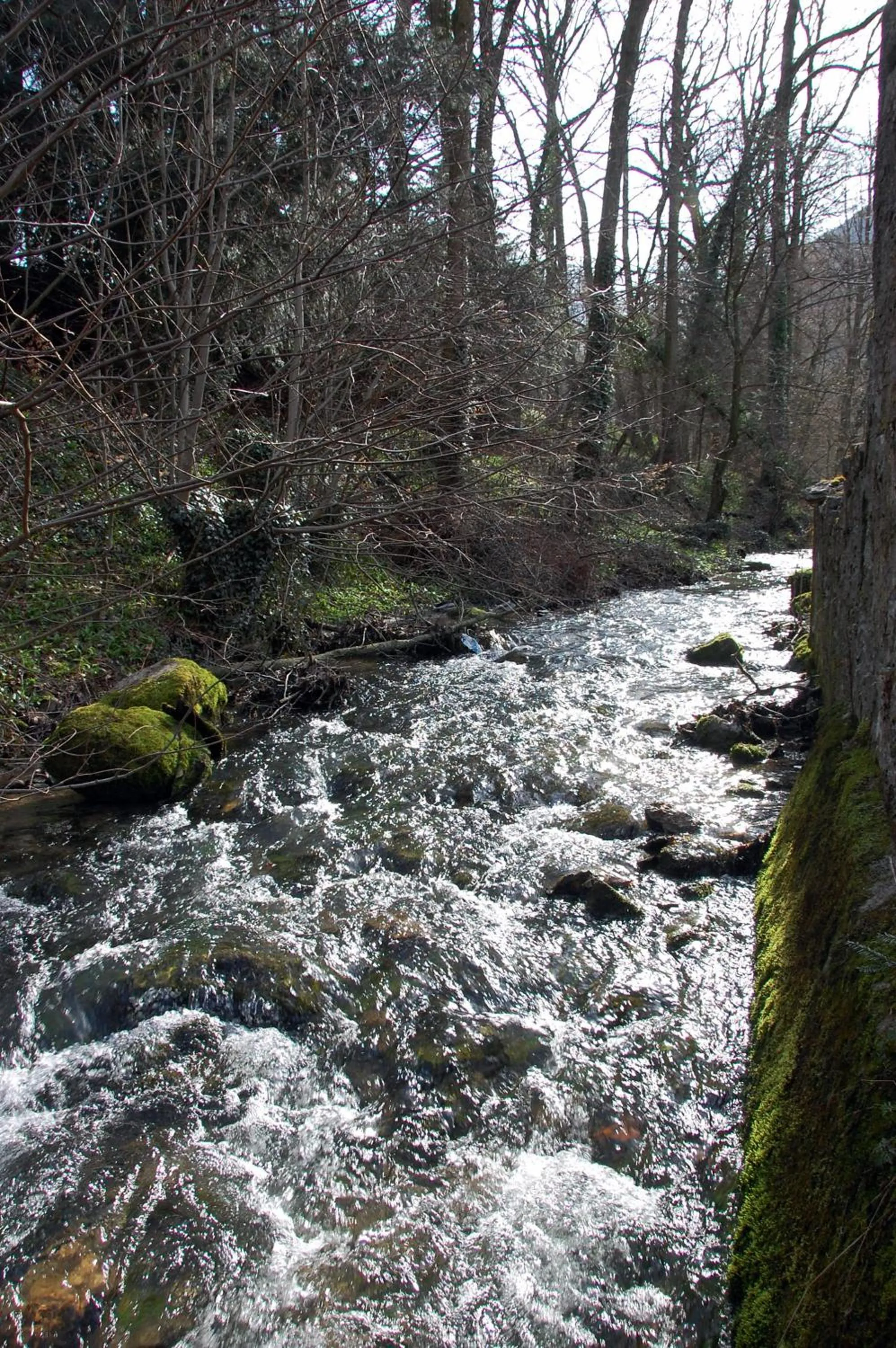 Hiking in Hôtel de l'ours