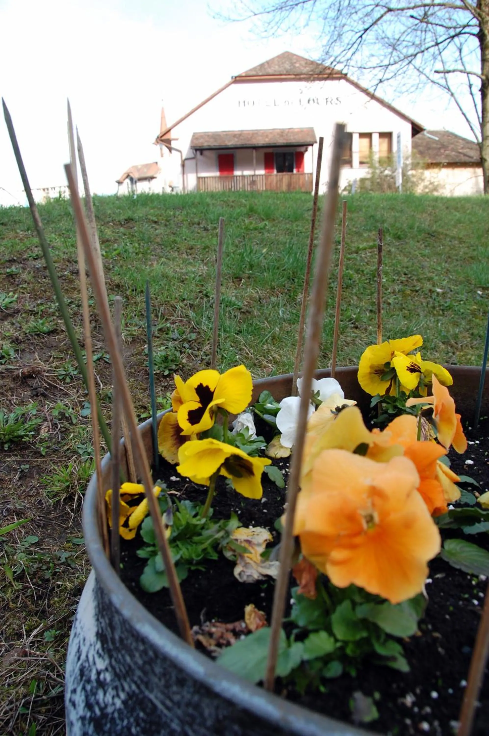 Garden in Hôtel de l'ours