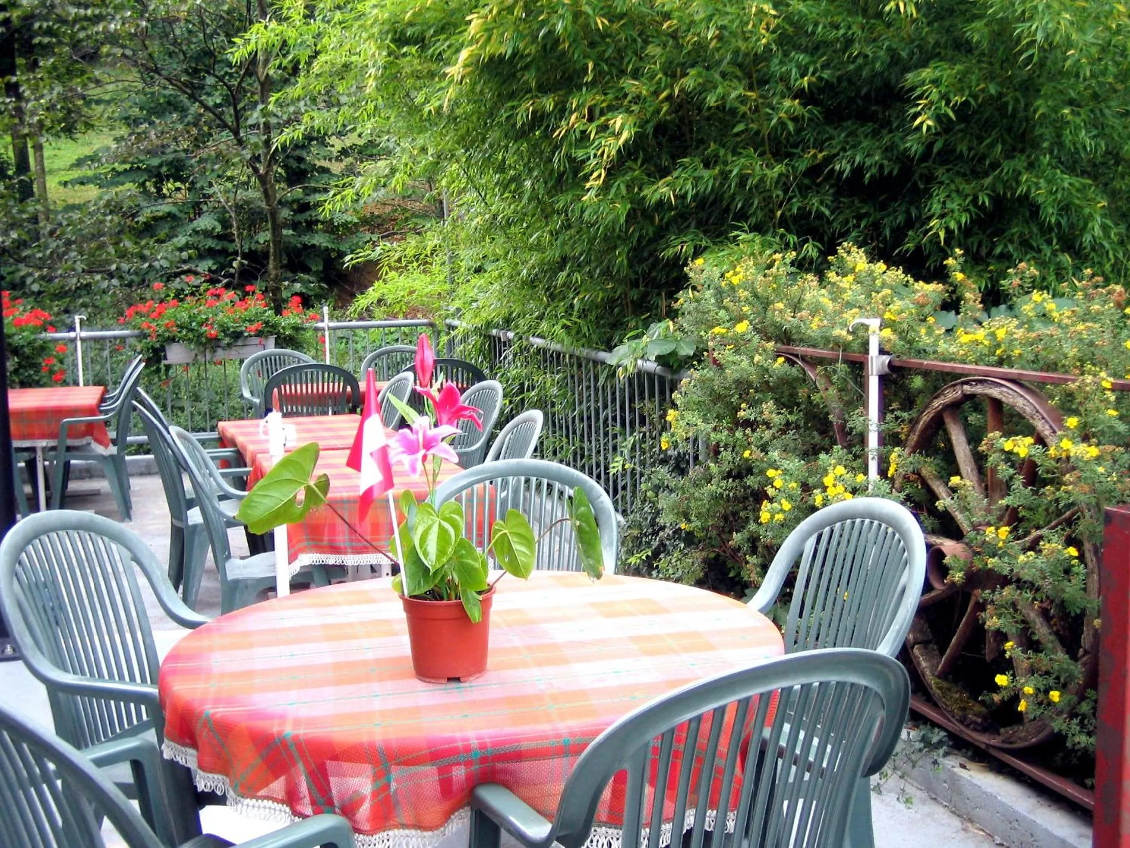Balcony/Terrace in Hôtel de l'ours