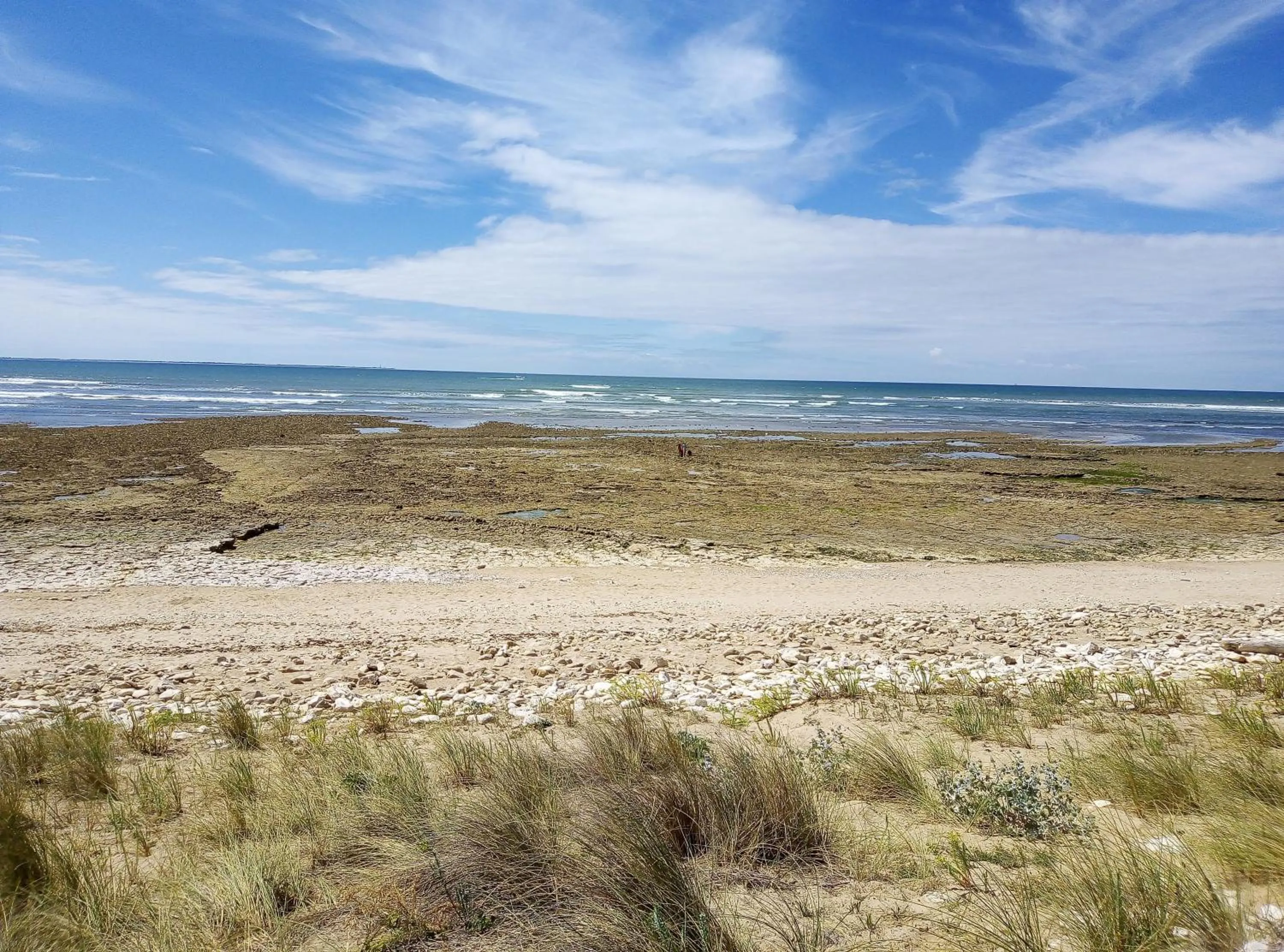Natural landscape in Les Bois Flottés en Ré