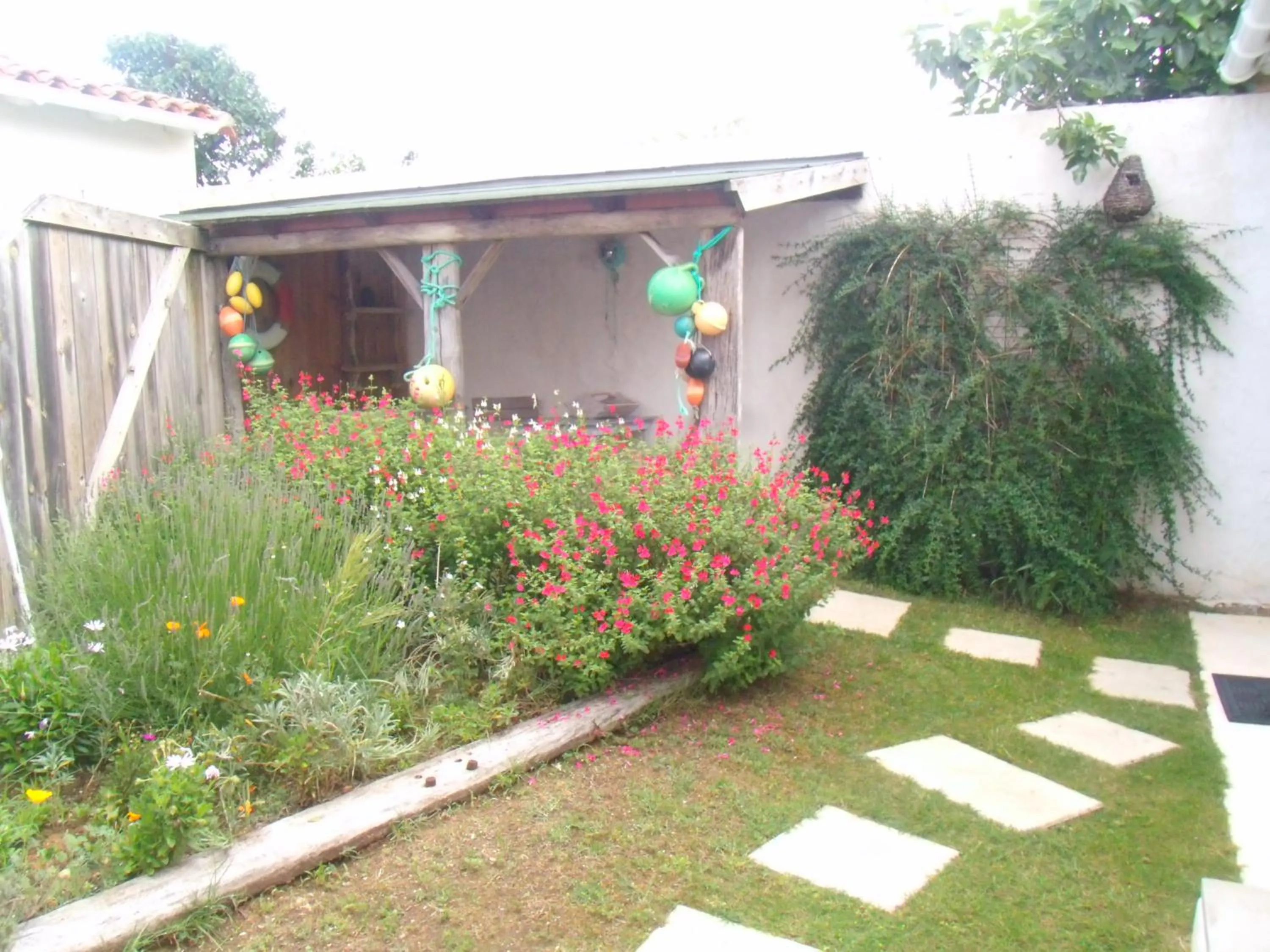 Garden in Les Bois Flottés en Ré