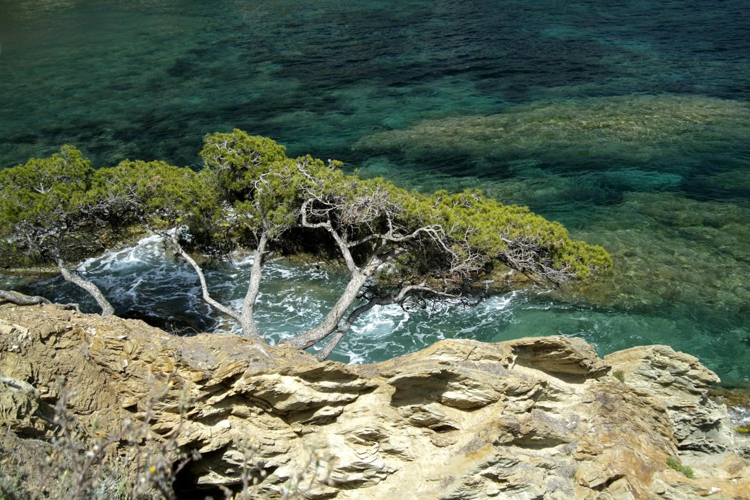 Natural landscape in Holidays Hyères