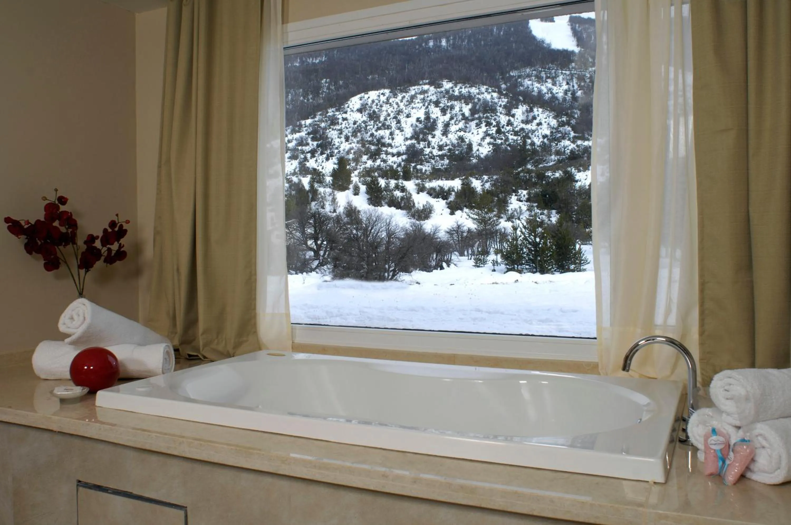 Shower in Village Condo