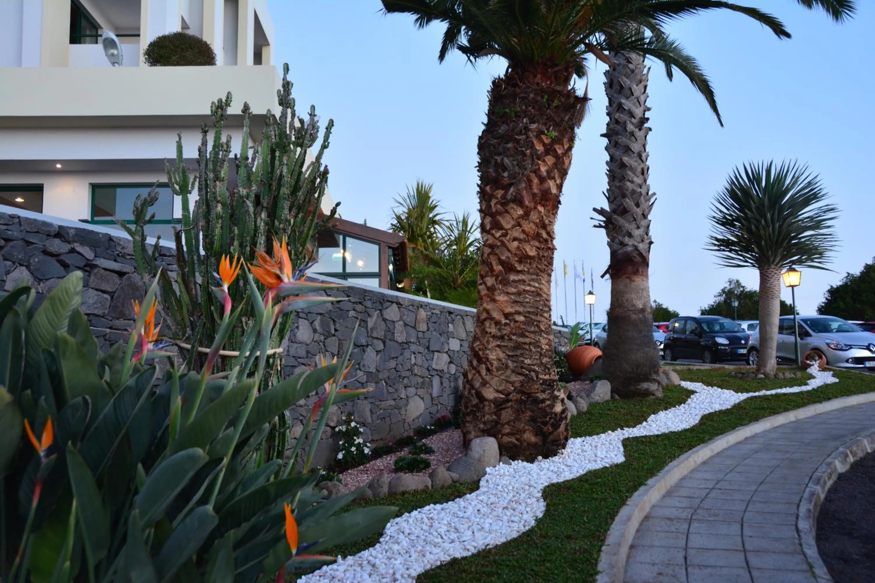 Garden in Hotel Jardim Atlantico