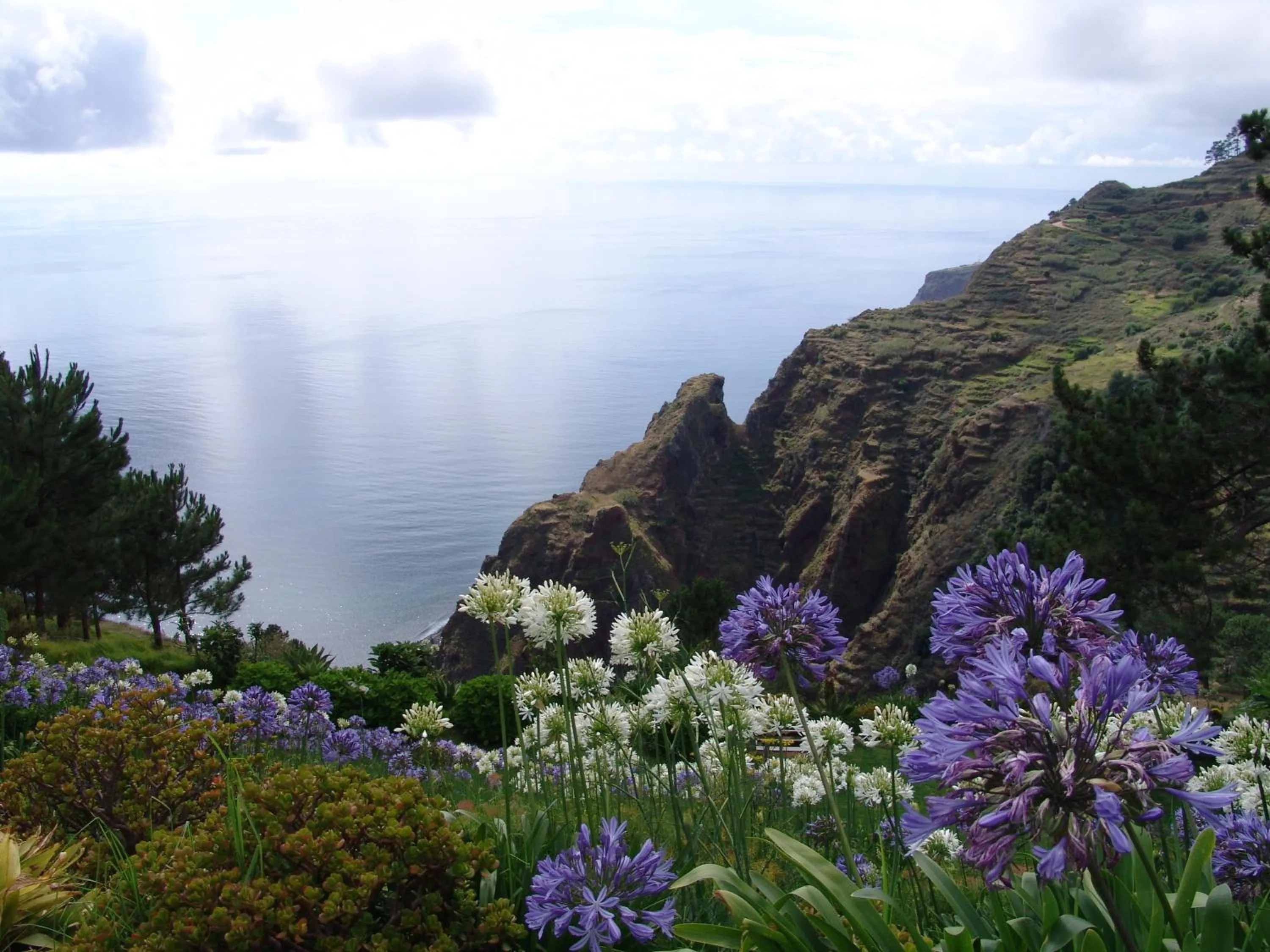 On site in Hotel Jardim Atlantico