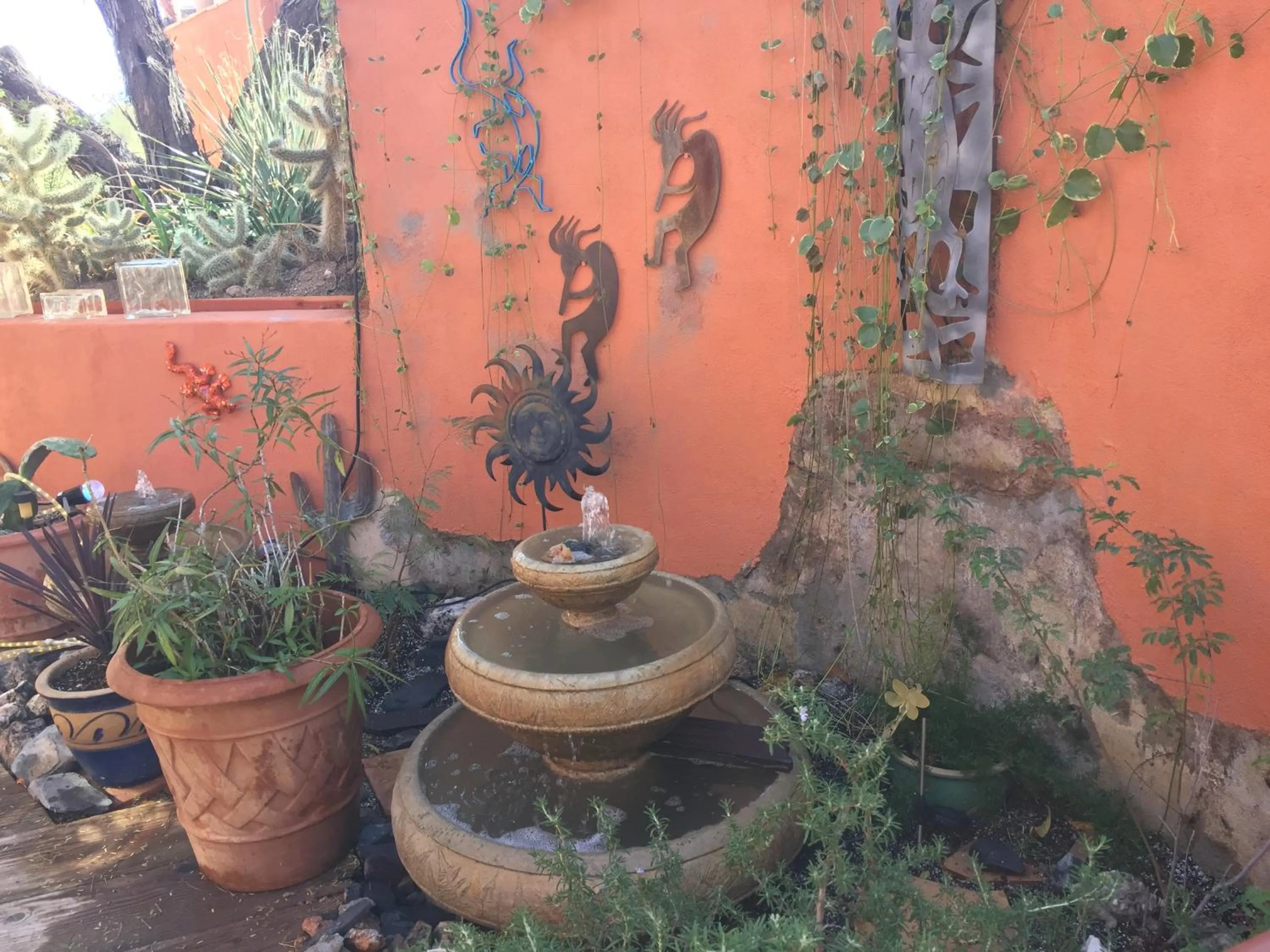 Garden in Spur Cross Inn