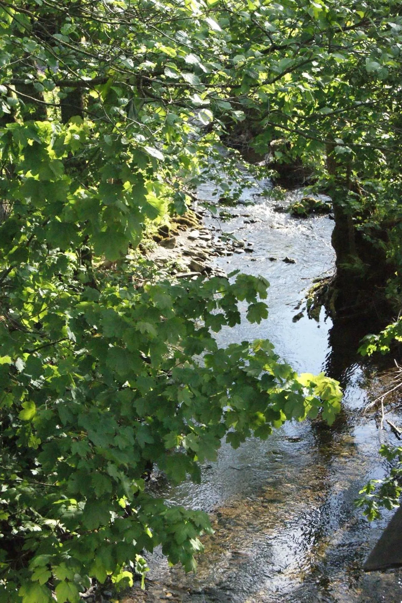 Ferienwohnungen TalBach
