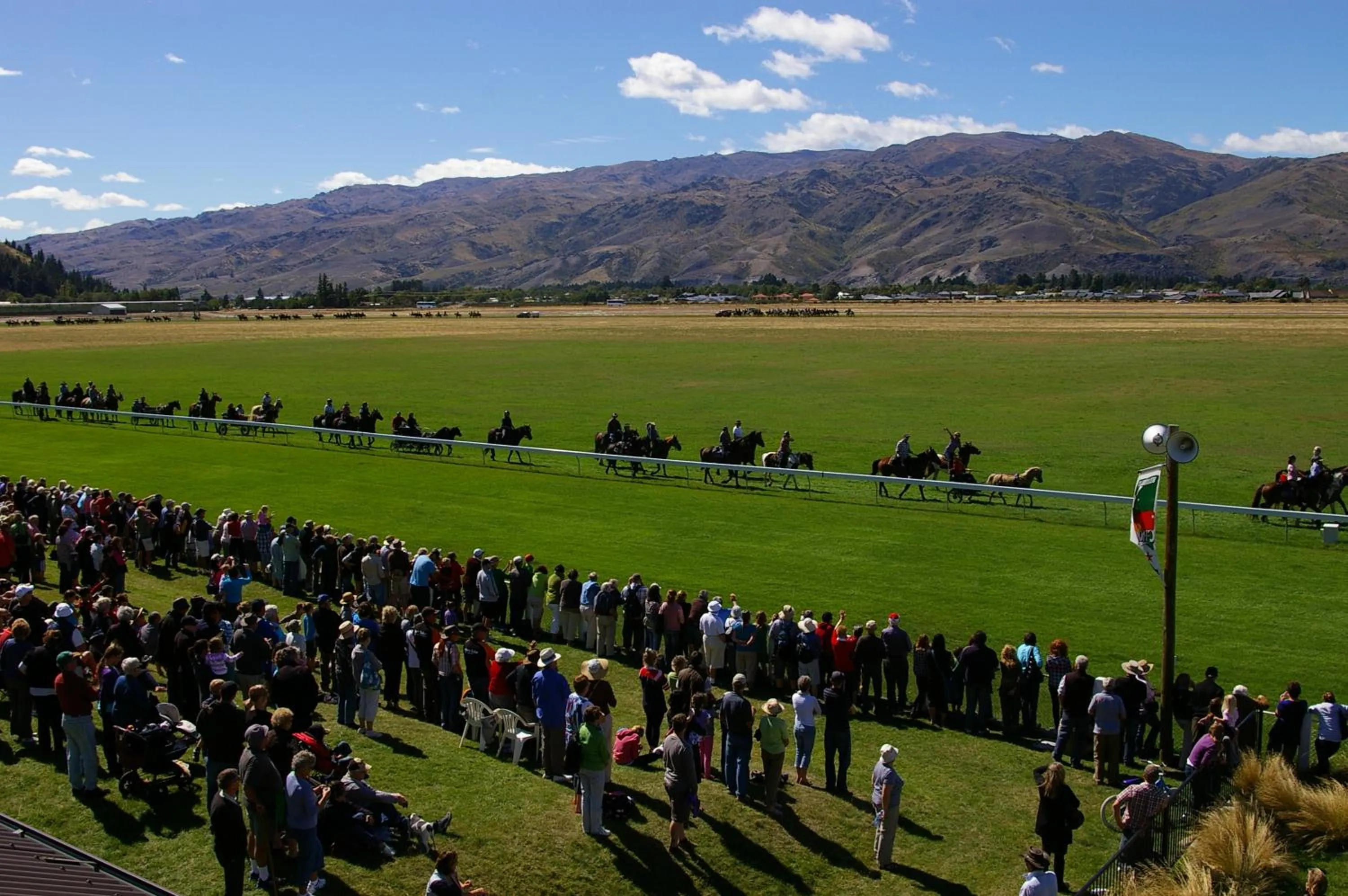 Horse-riding in Cromwell Motel