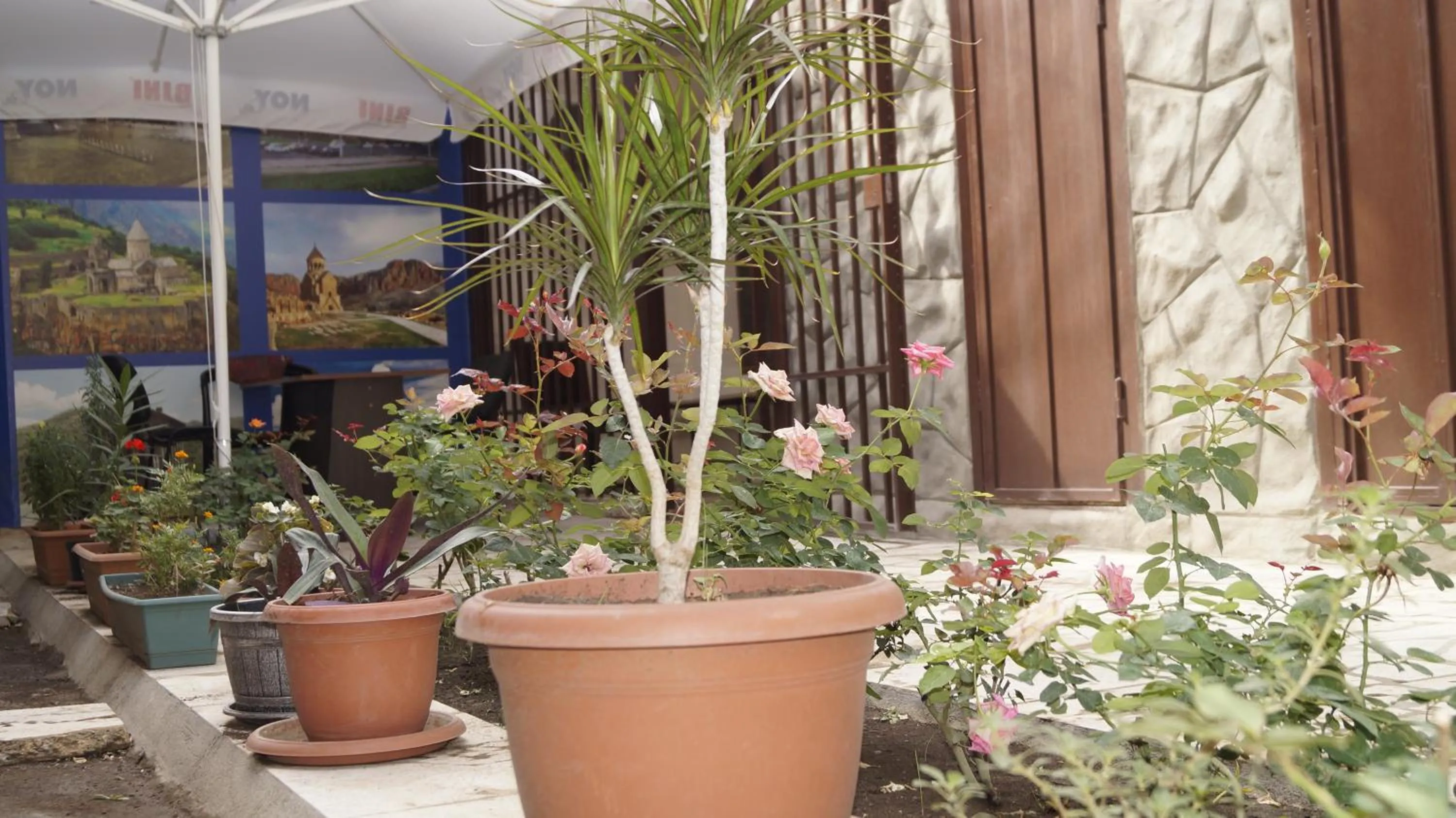 Garden in Komitas Avenue Guest House