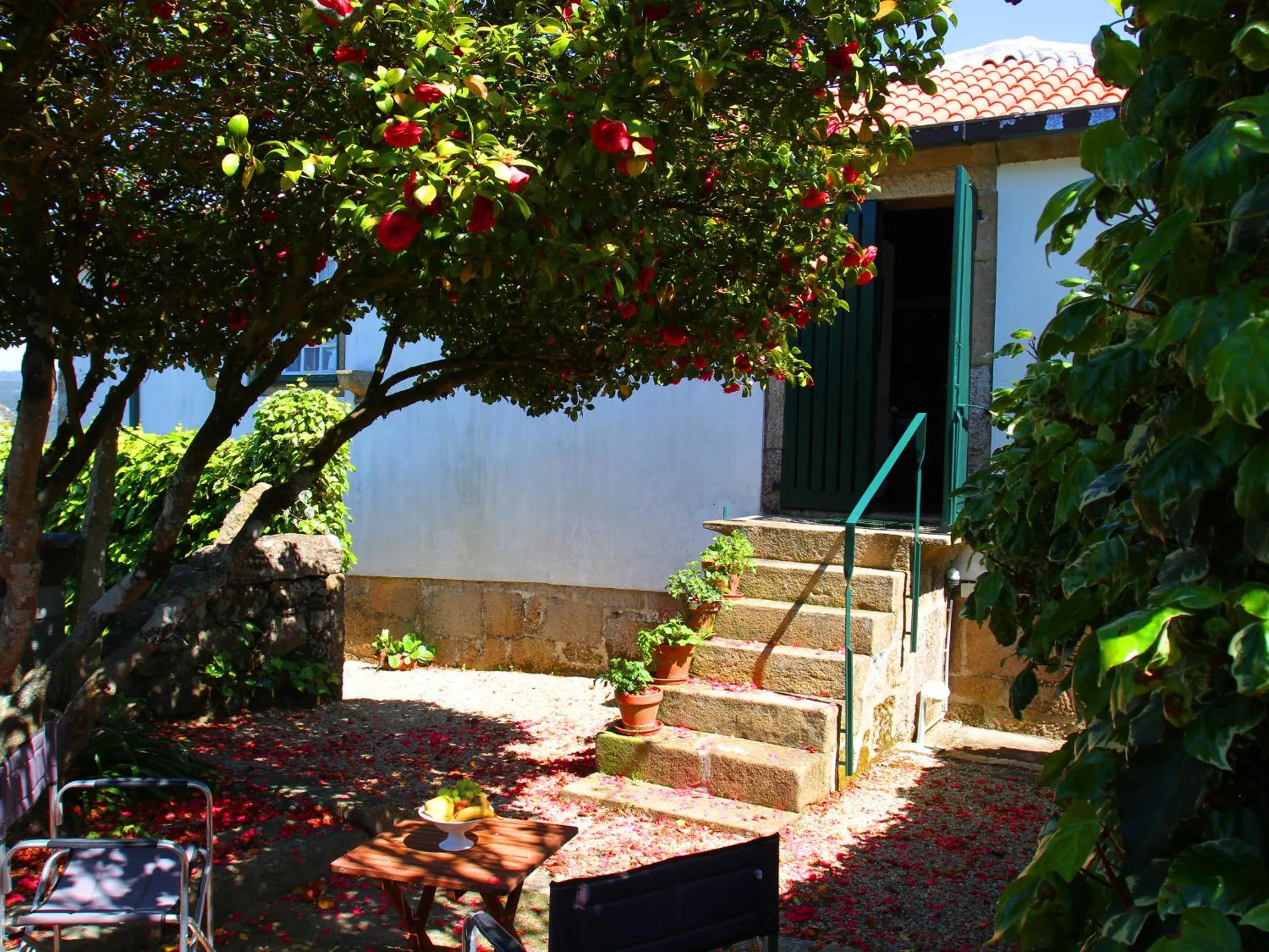 Off site in Quinta da Calçada