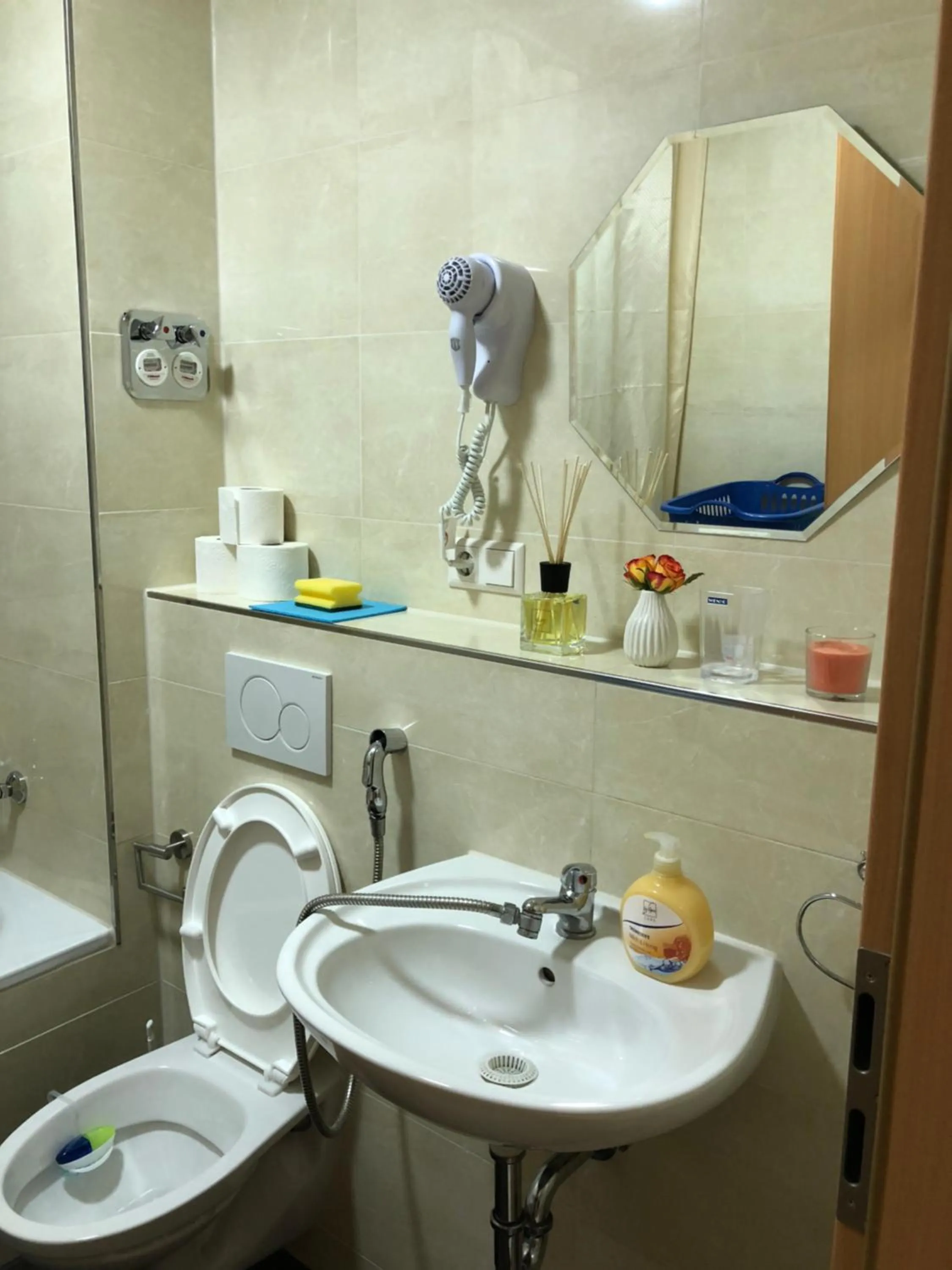 Toilet in Sahara Falcon