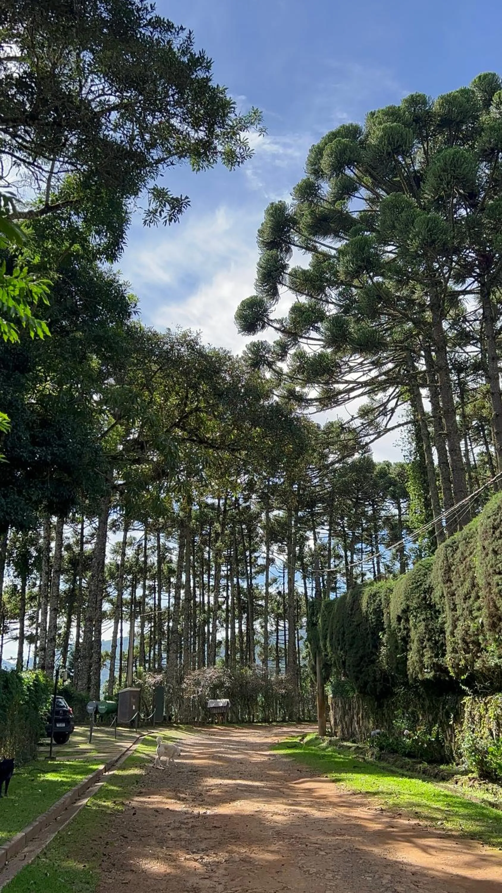 Natural landscape in Chalés ANECUEM