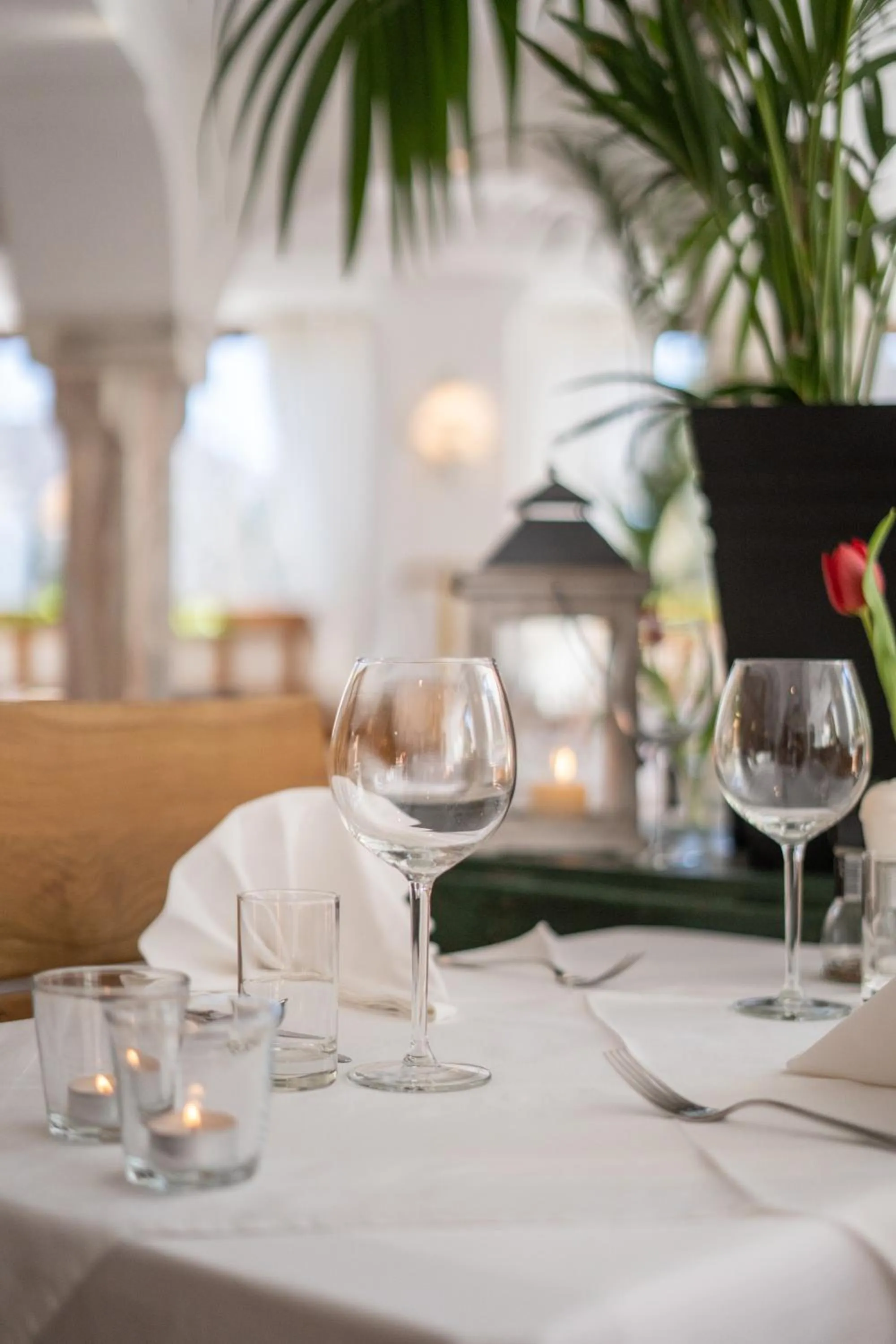 Restaurant/places to eat in Hotel Gasthof Stranachwirt