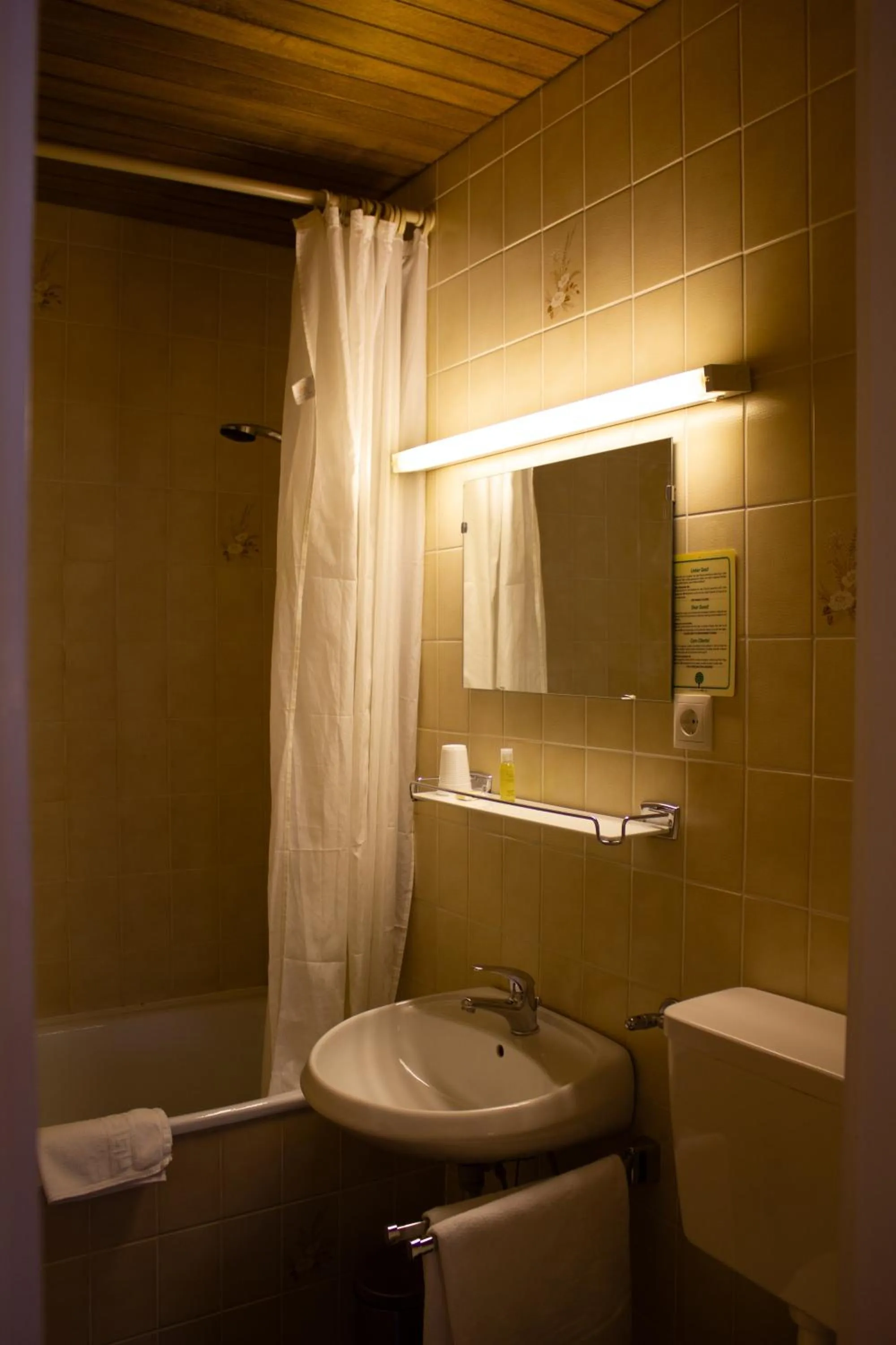 Shower in Hotel Gasthof Stranachwirt