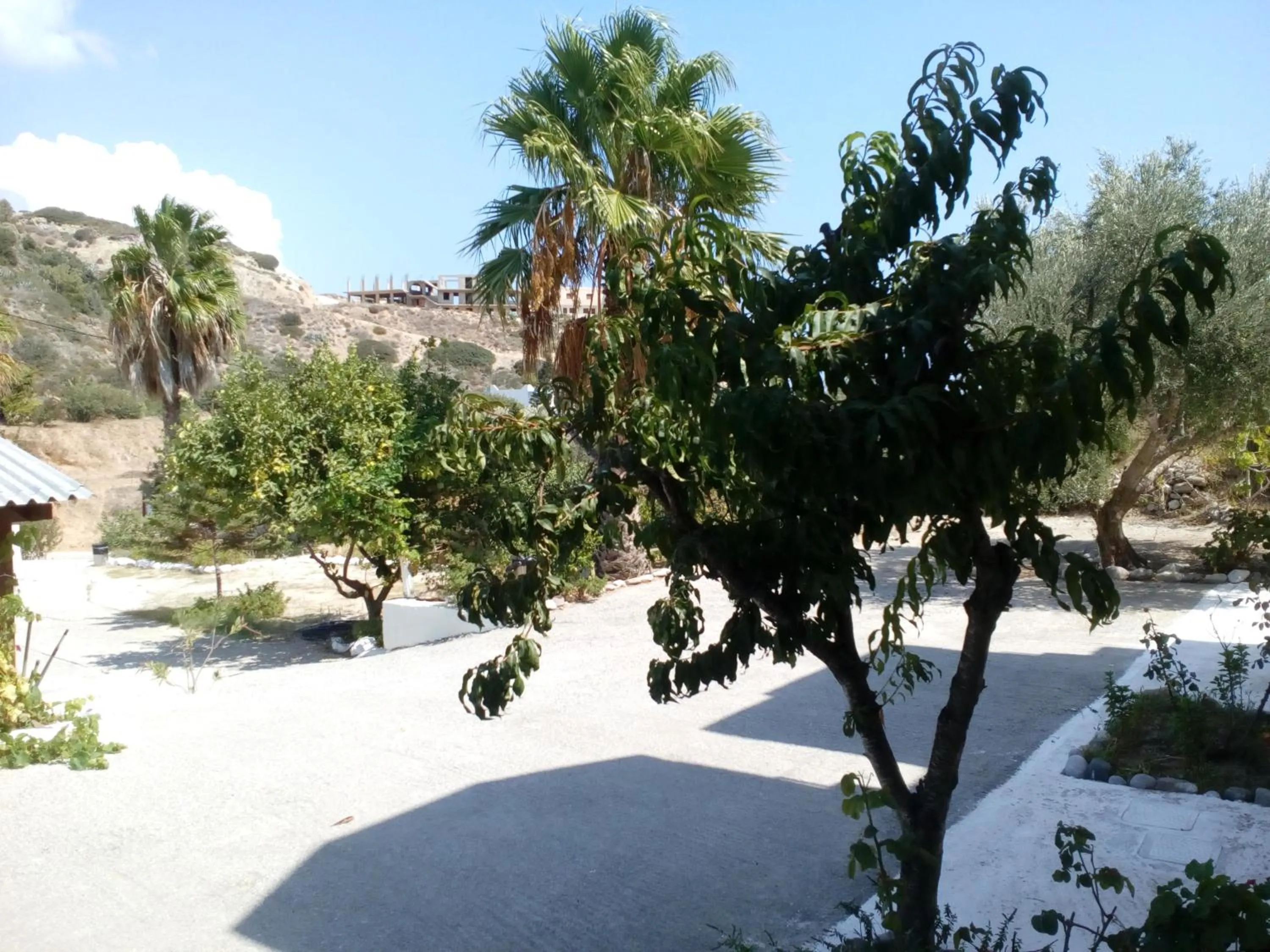 Denise Apartments Kefalos